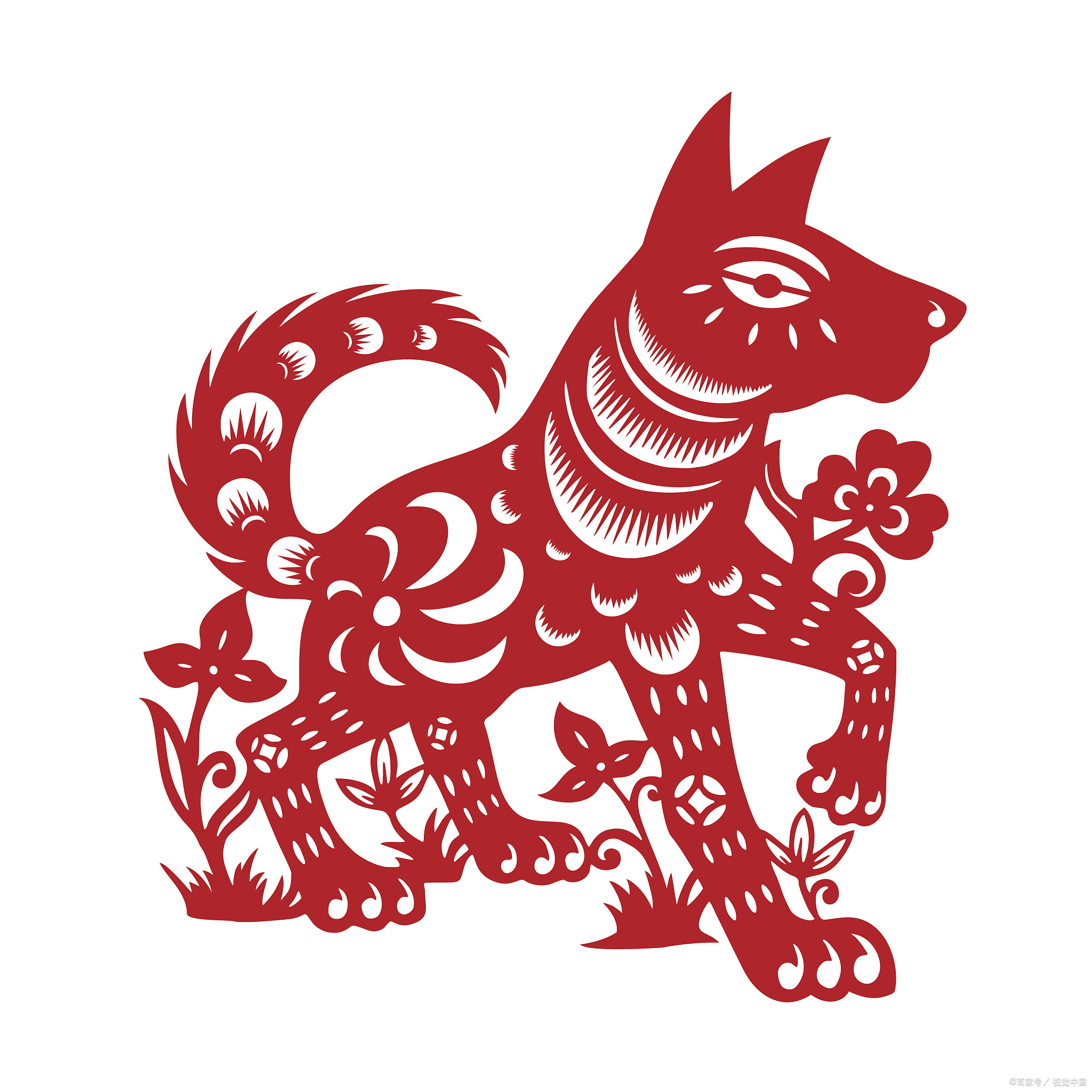狗年十二生肖的运势(生肖狗运势2021运势详解)