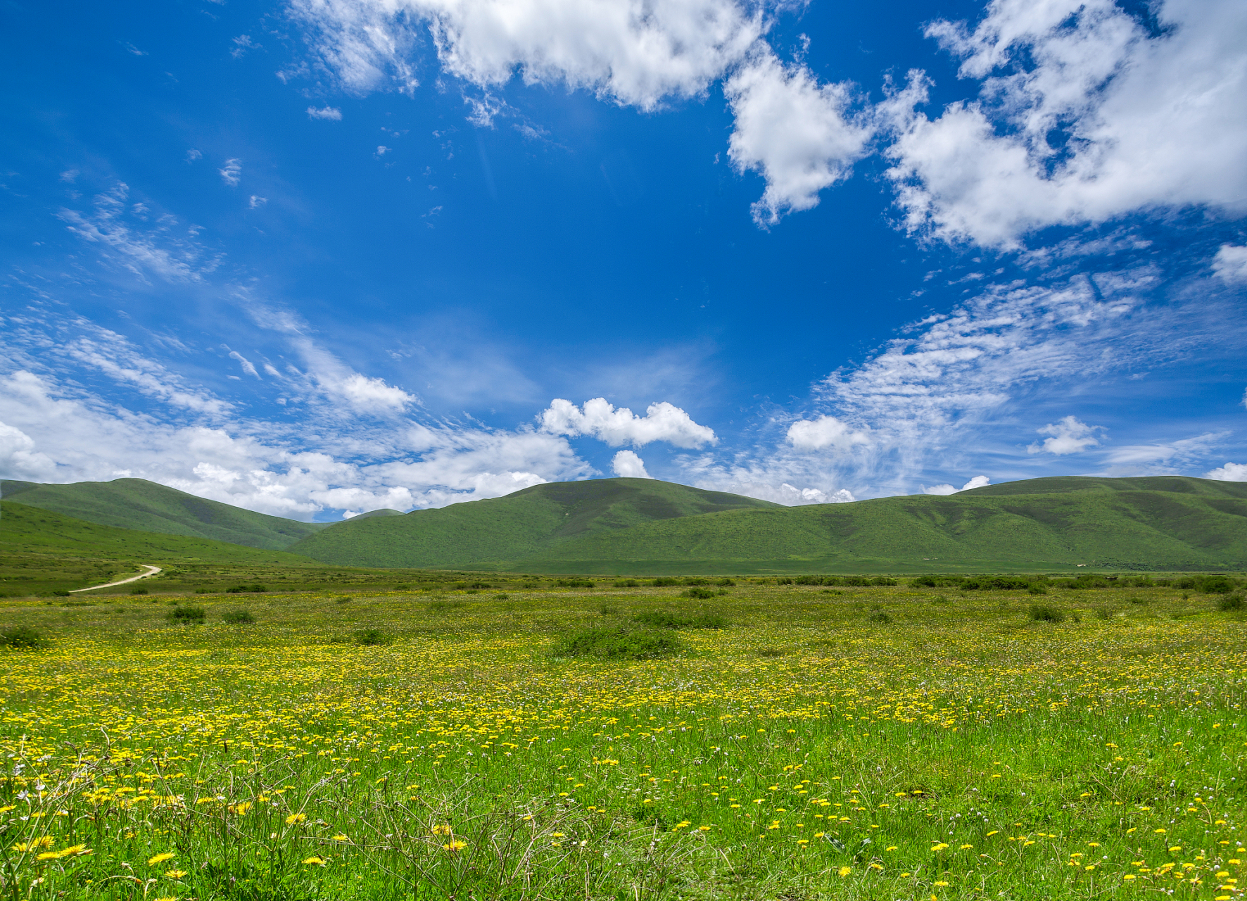 这一站就出发# 马兰花大草原位于著名的鄂尔多斯台地的边缘,共有草原