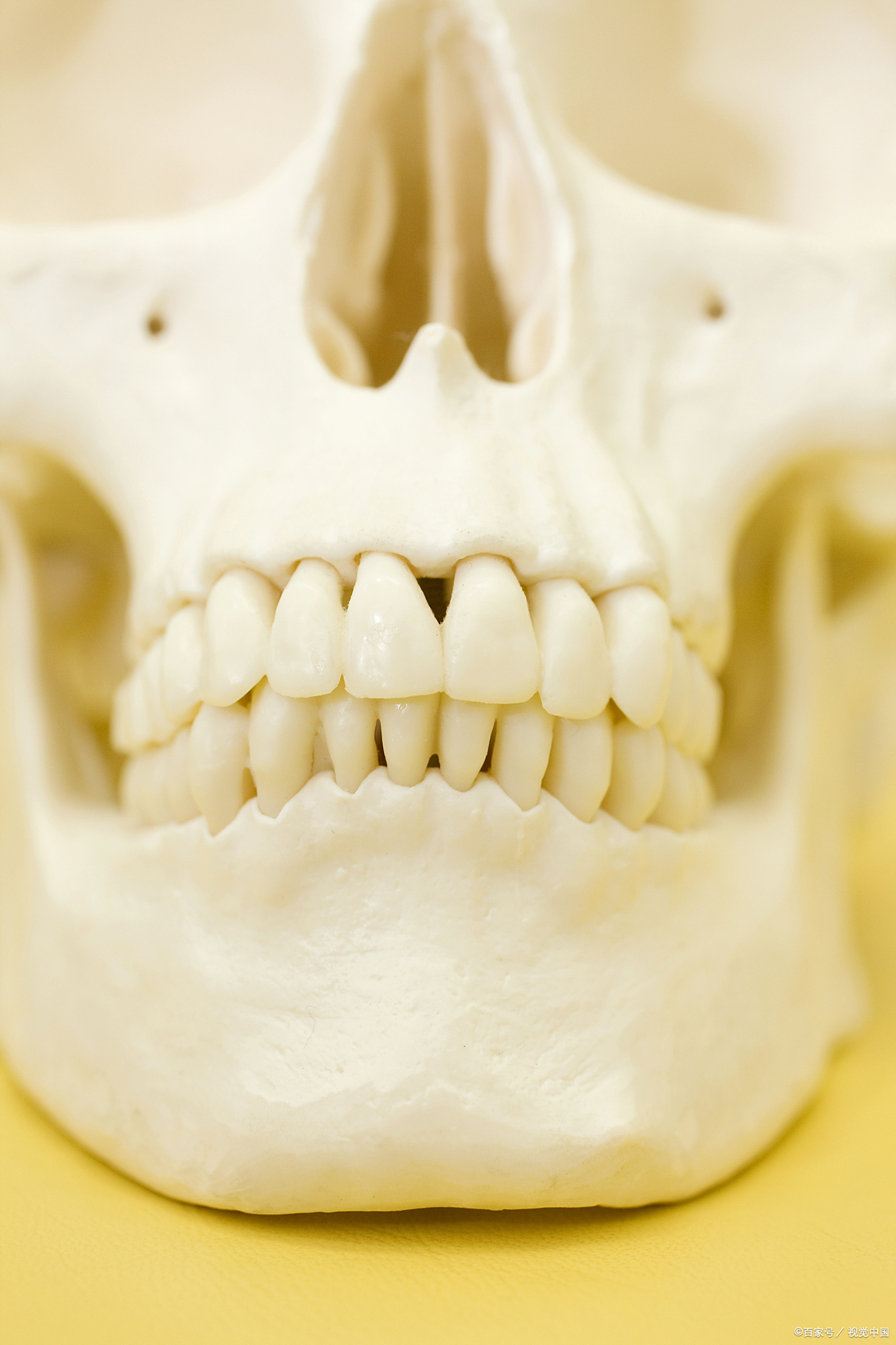 近年来,越来越多的人注意到自己的牙齿出现了缝隙增大的现象,这不仅