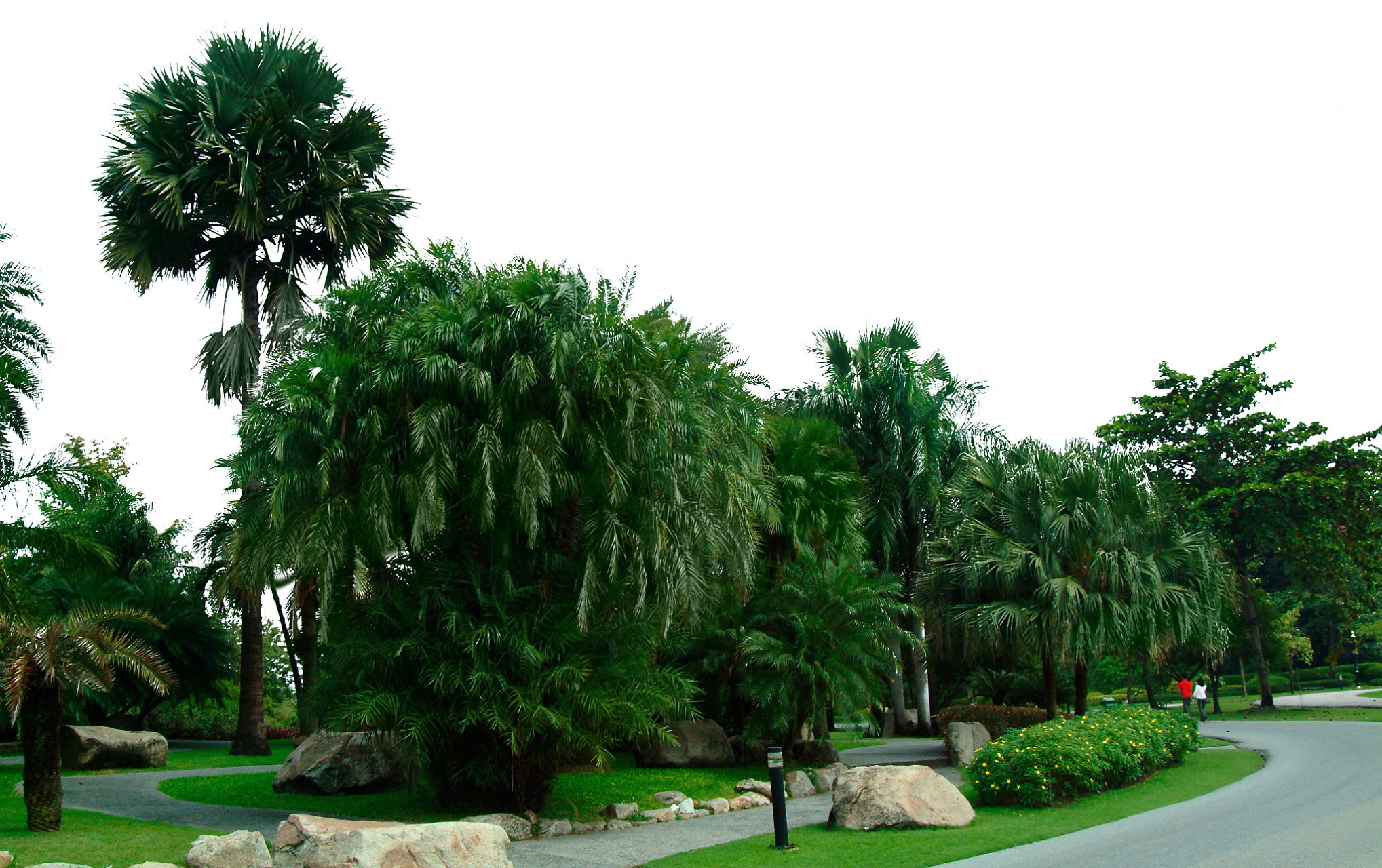 此外,榕枫公园也是一处优美的休闲胜地.