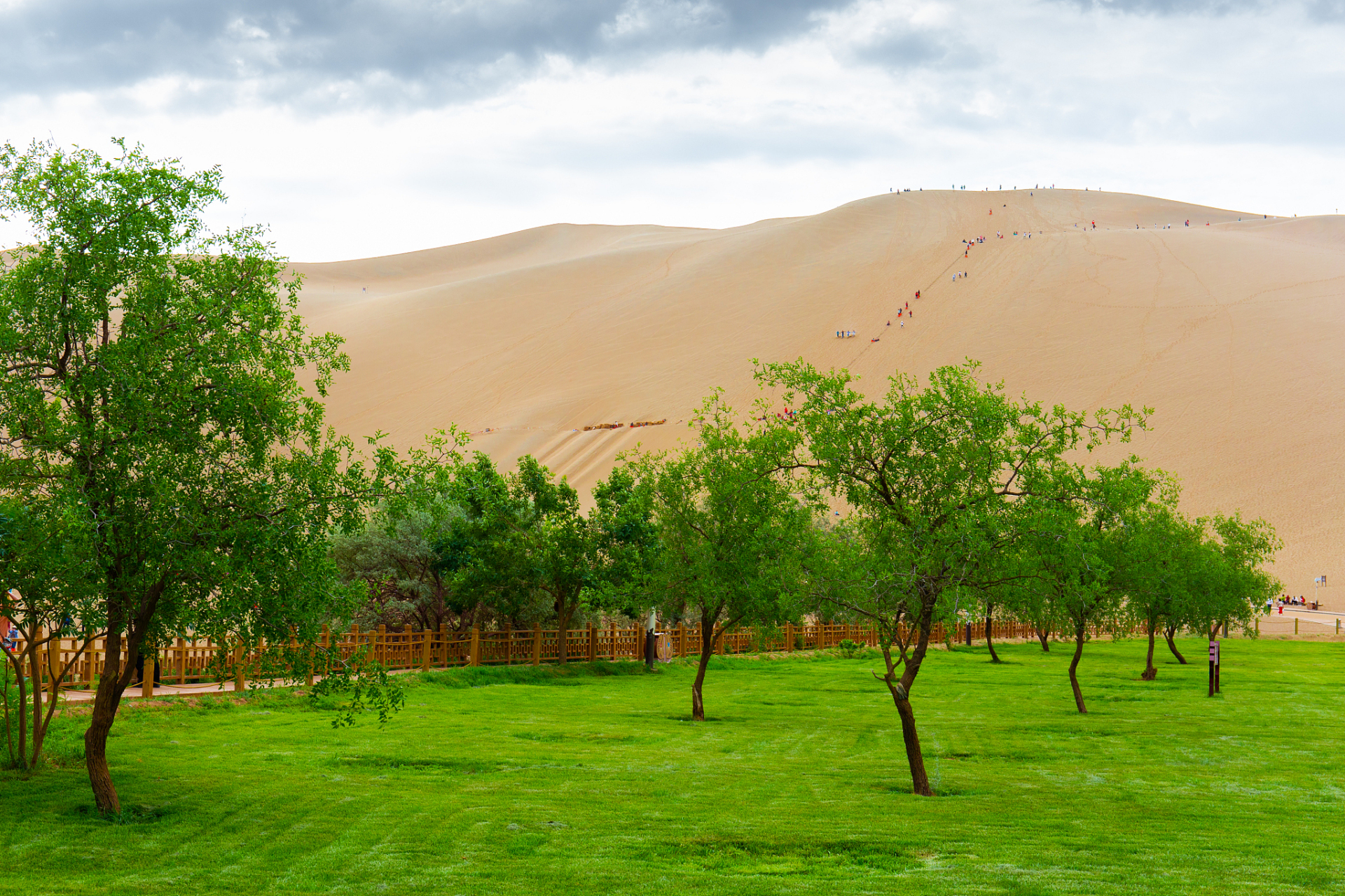 沙漠绿洲是一种特殊的生态系统,它存在于被流沙,沙丘所覆盖的地形当中