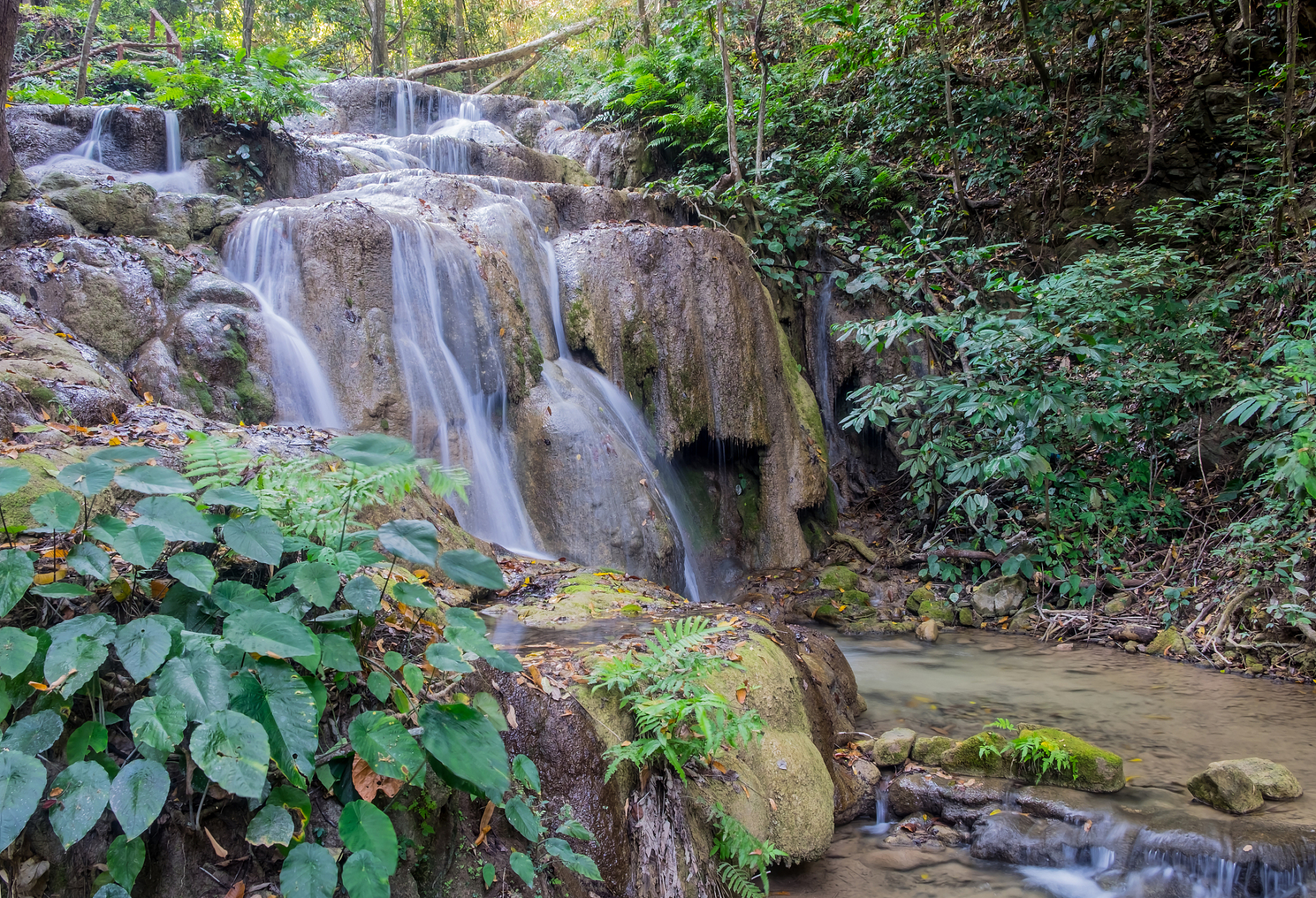 打卡大美江西# @百家本地君  三百山,位于江西省赣州市安远县境内,是