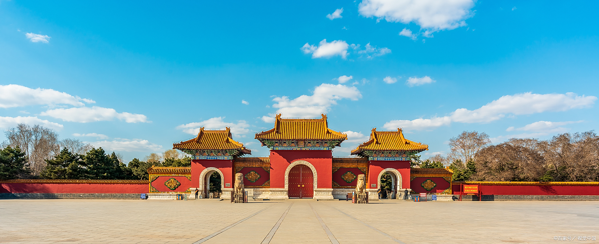 这个五一感受全国最大古松群落——沈阳北陵,树龄均近400年!