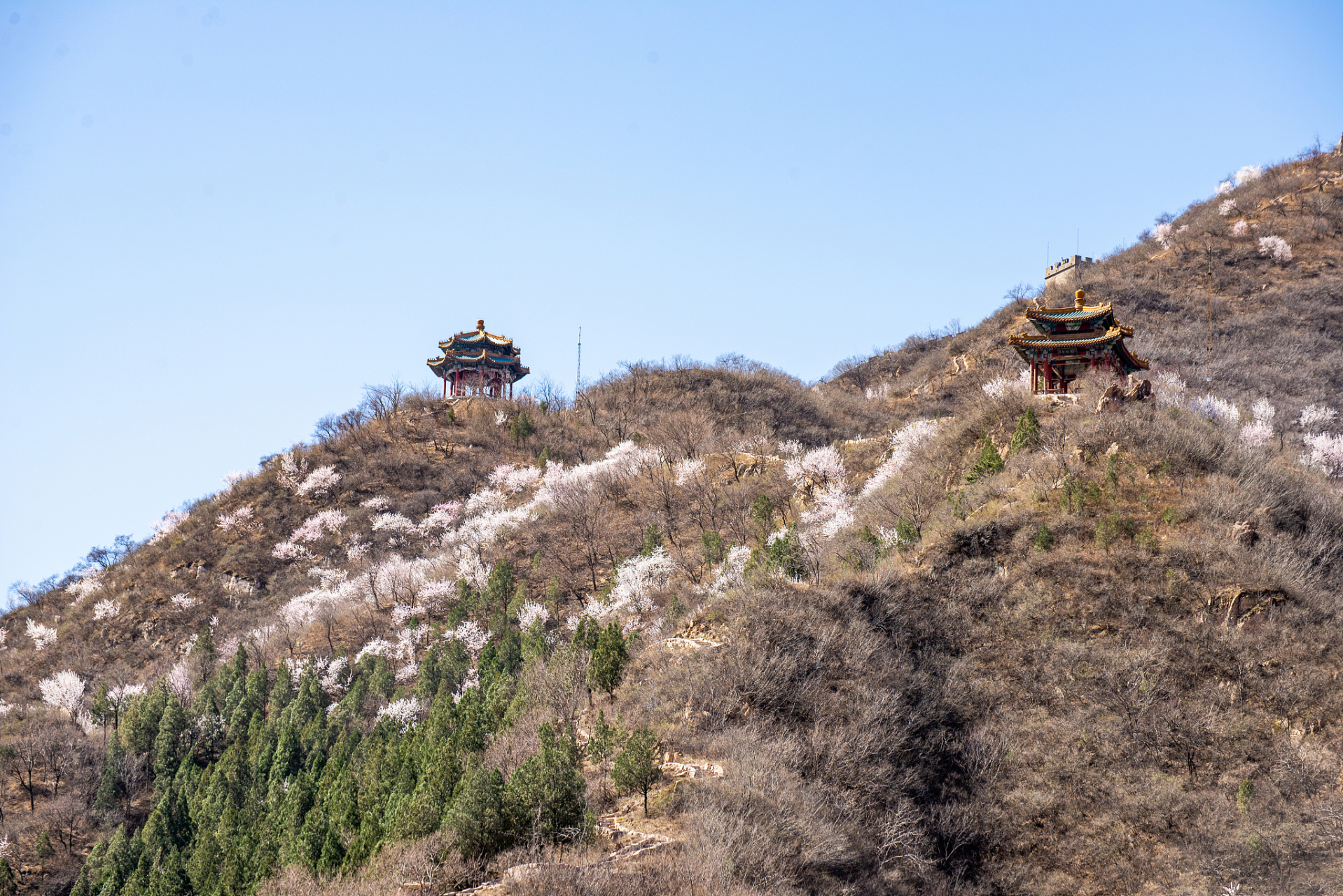 杭州宝寿山图片