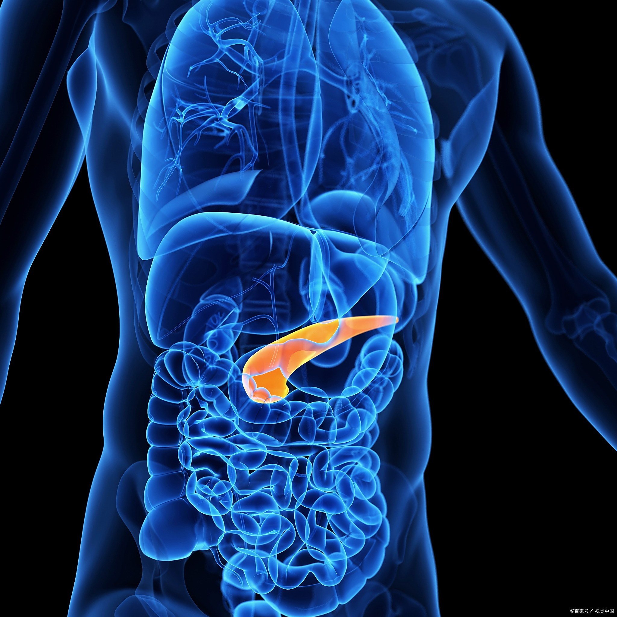 56岁男子长期服用红曲米降脂,效果如何?医生忠言:这4点要牢记