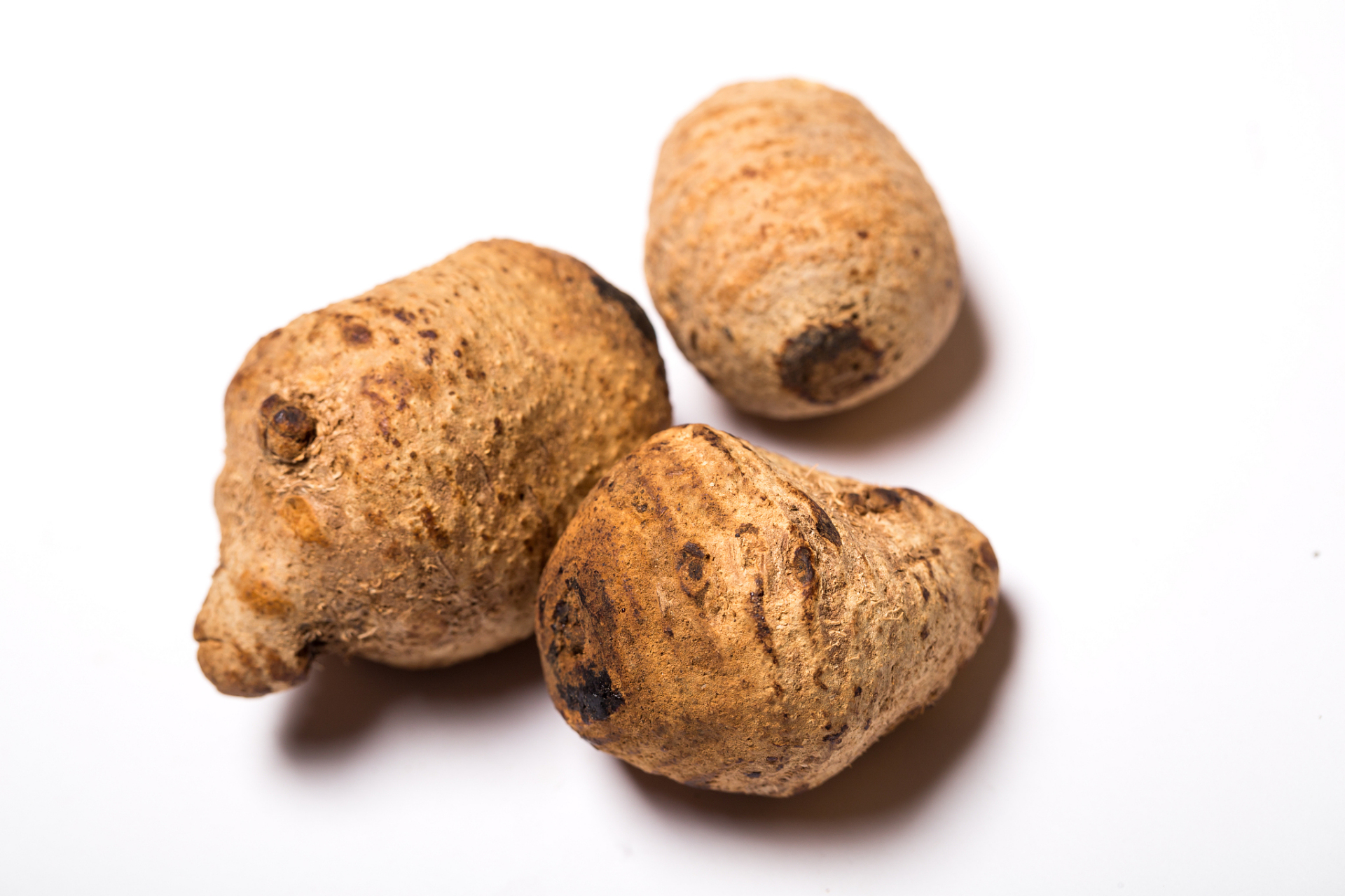 本草纲目,关于泽泻的记载