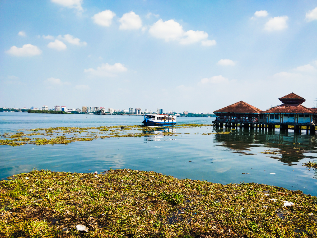 这不仅仅是上海最大的天然淡水湖泊,更是黄浦江的源头,承载着上海的