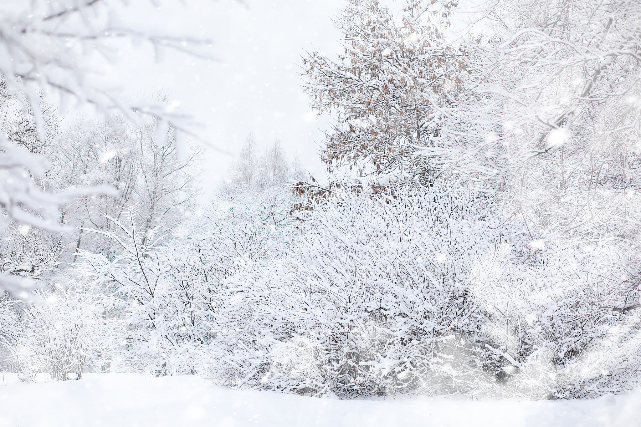 在气象学上,"鹅毛大雪"通常指的是一种特定的大雪天气现象,它指的是