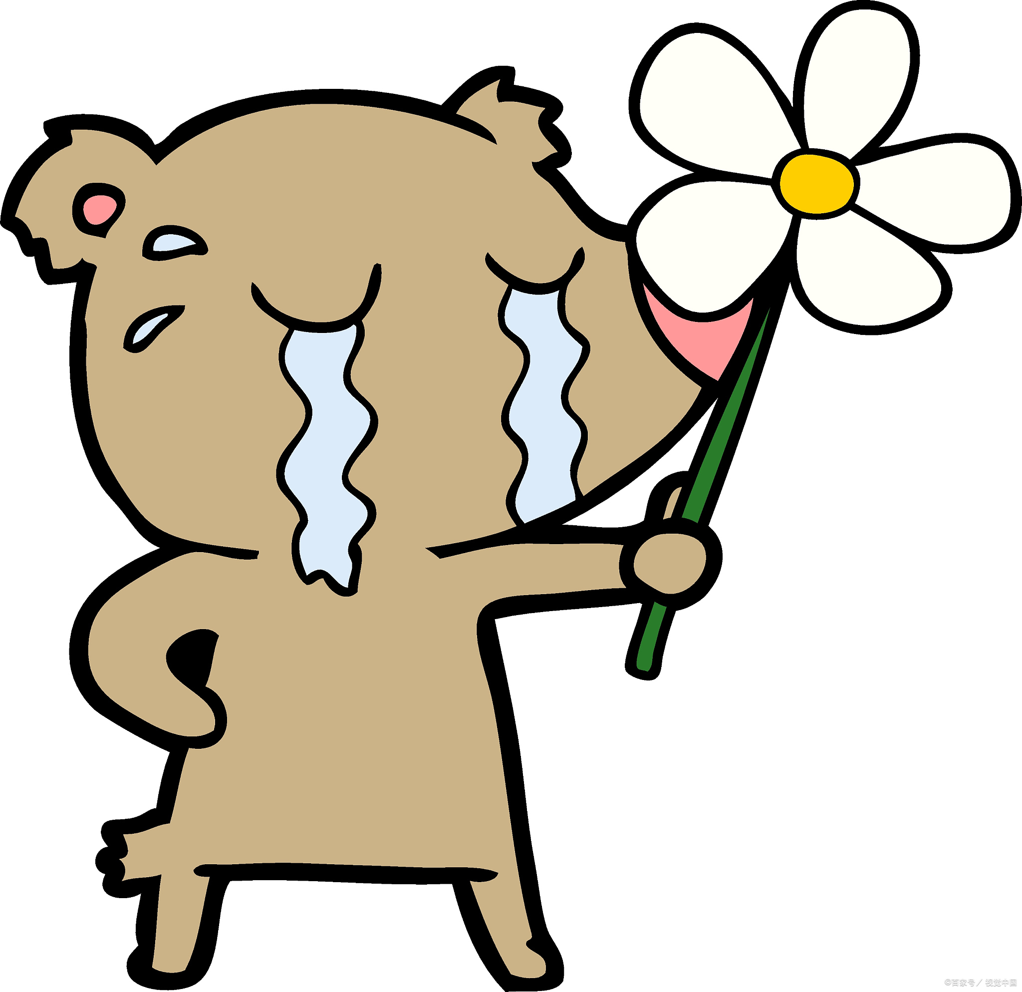 人这辈子最大的悲剧,根本不是穷到吃土或者秃头,而