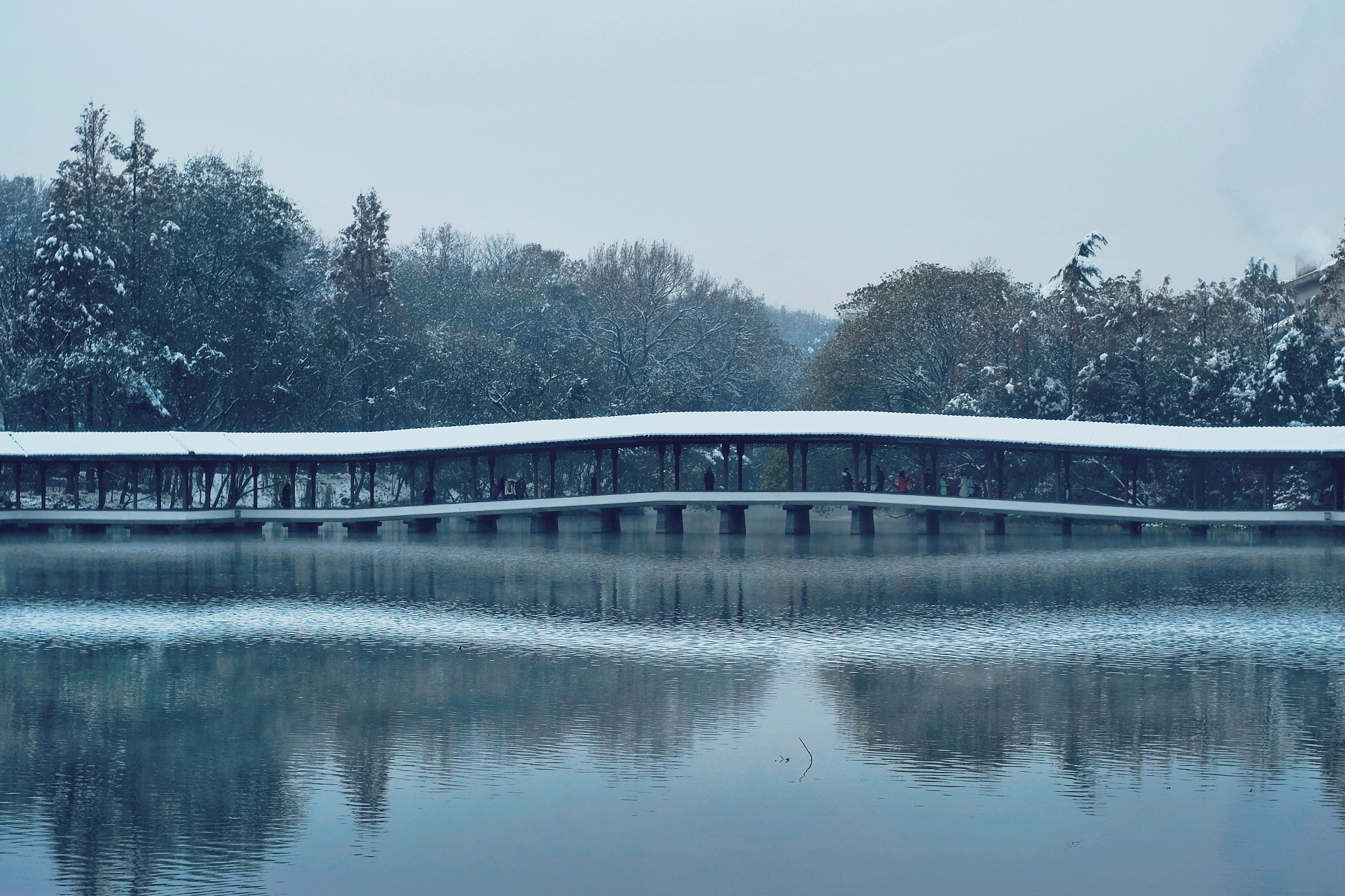 杭州断桥雪景图片