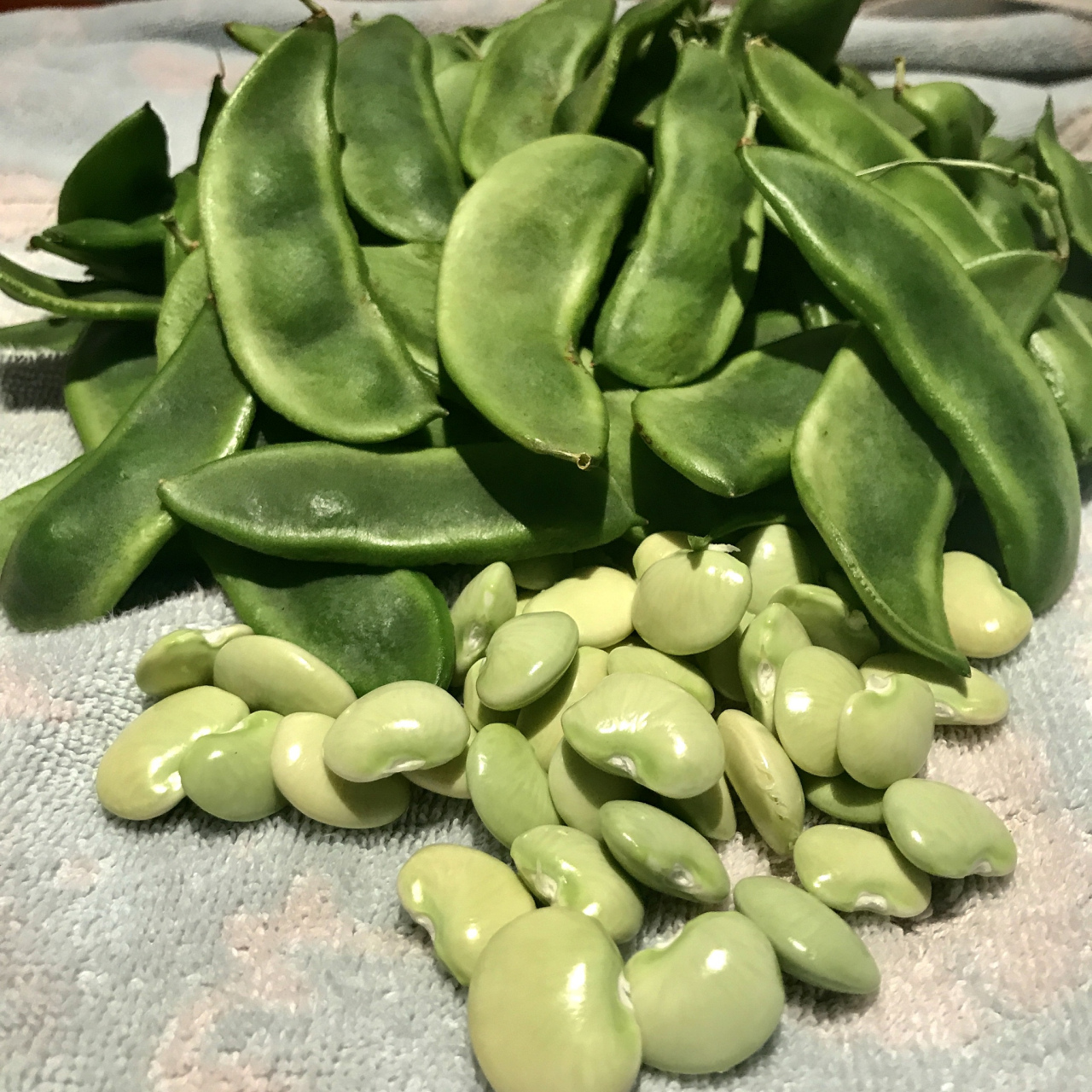 具体分析如下: 1,促进心脏健康:鹰嘴豆中含有丰富的不饱和脂肪酸和多