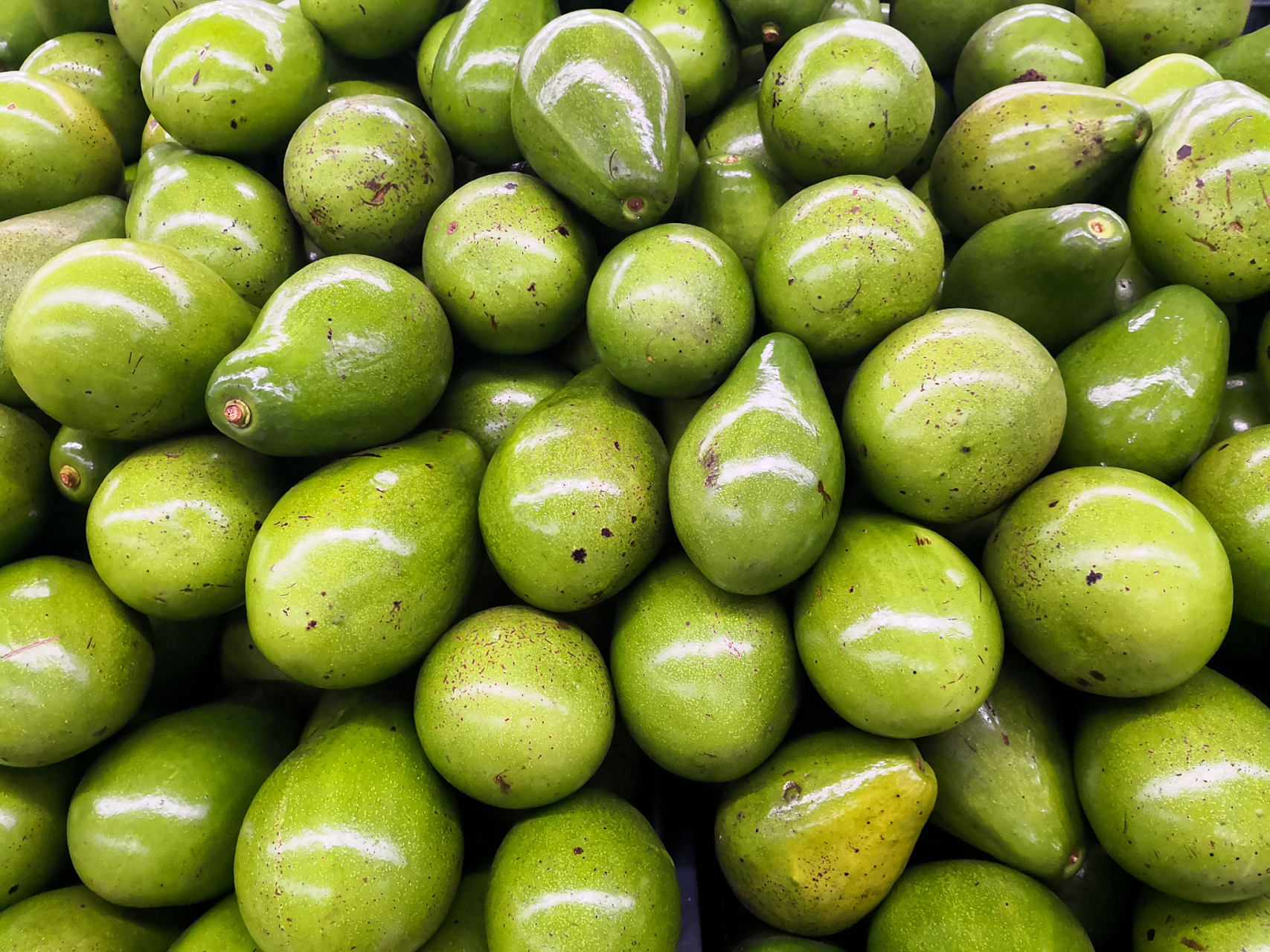 油甘果的功效和作用 清热凉血,生津止咳,消食健脾 油