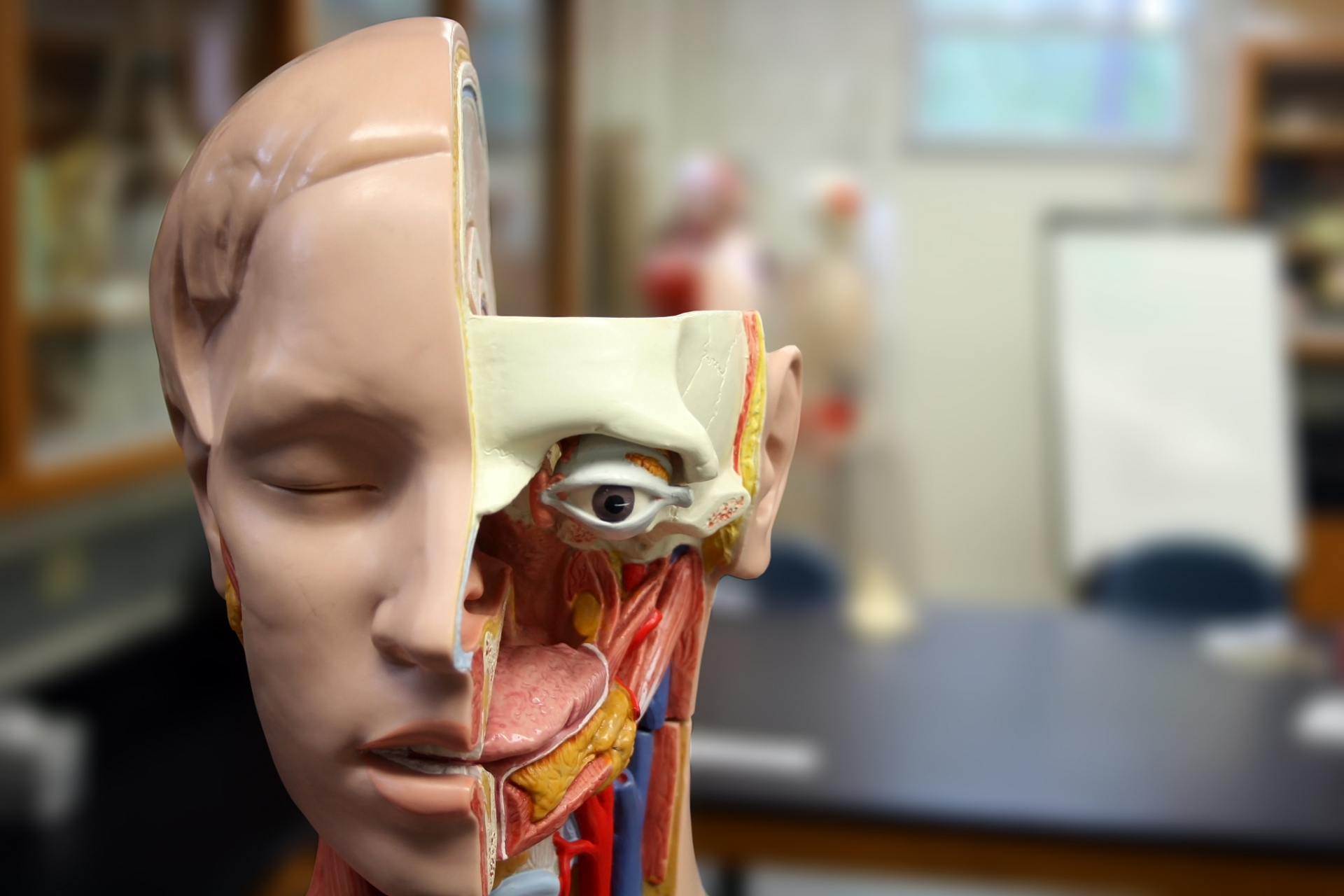 3d打印人体器官是一种先进的医疗技术,可以根据患者的具体情况,通过数