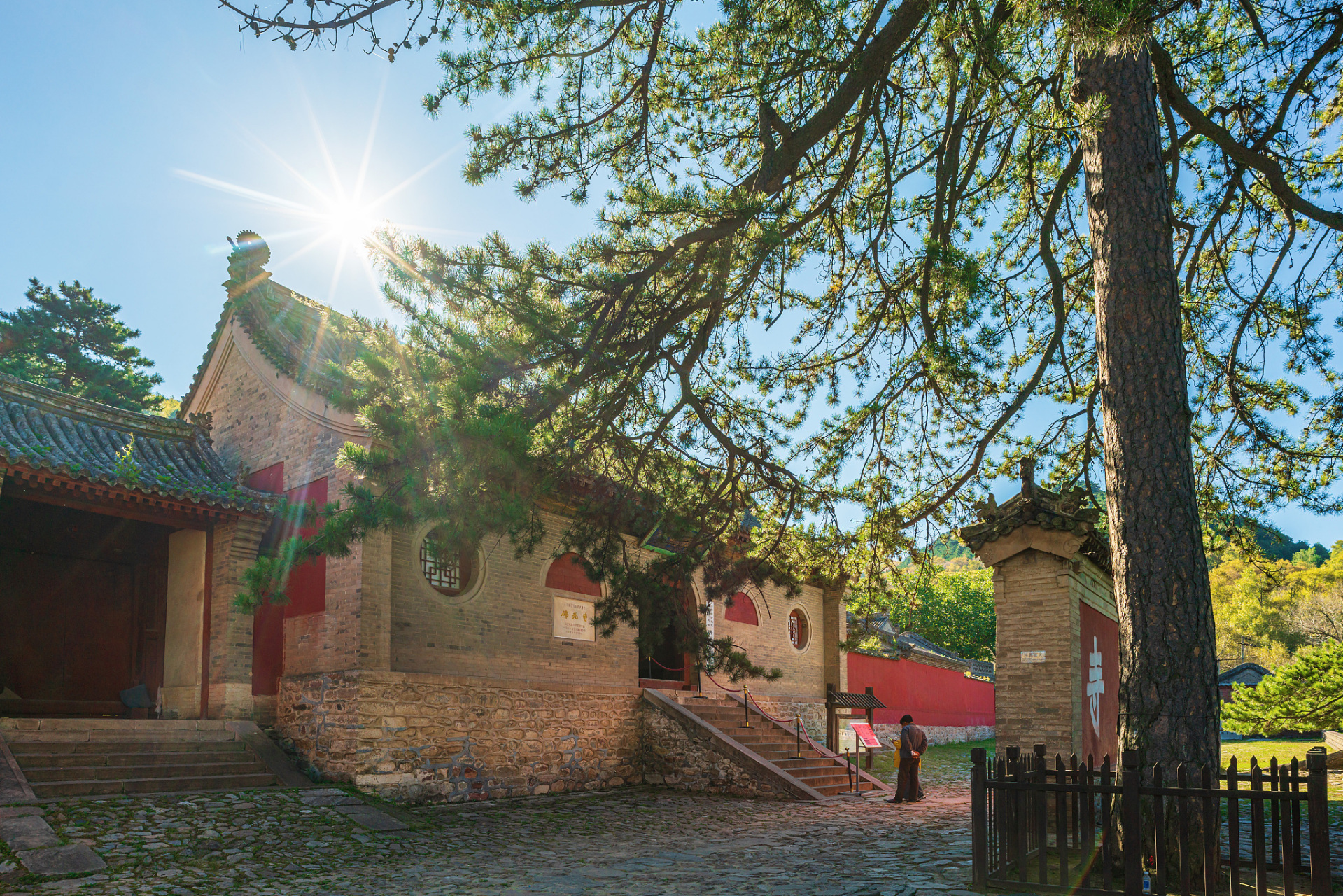 山上的定林寺,是一座千年古刹,寺内的银杏树,树龄达三千余年,至今仍枝