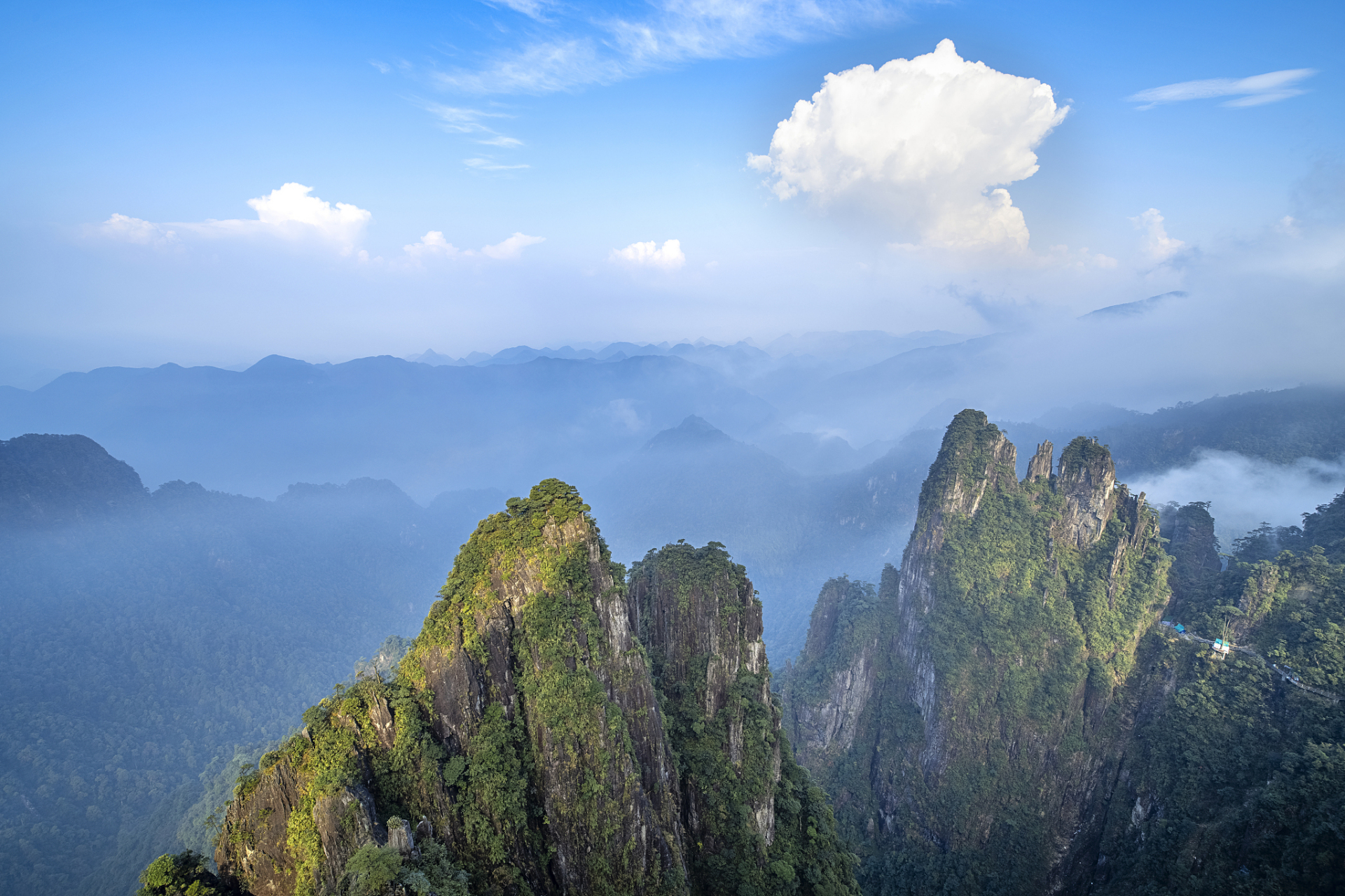 当地主要特产有莽山黑豚,莽山埘桀鸡,莽山苦笋,莽山拓菌 ,莽山高山