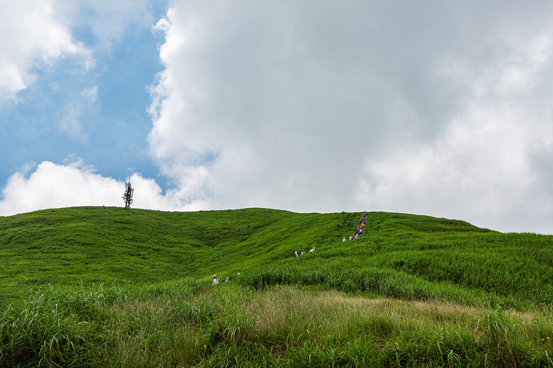 柘荣鸳鸯草场,坐落于距离柘荣县城约5公里处,占地广达5000亩.