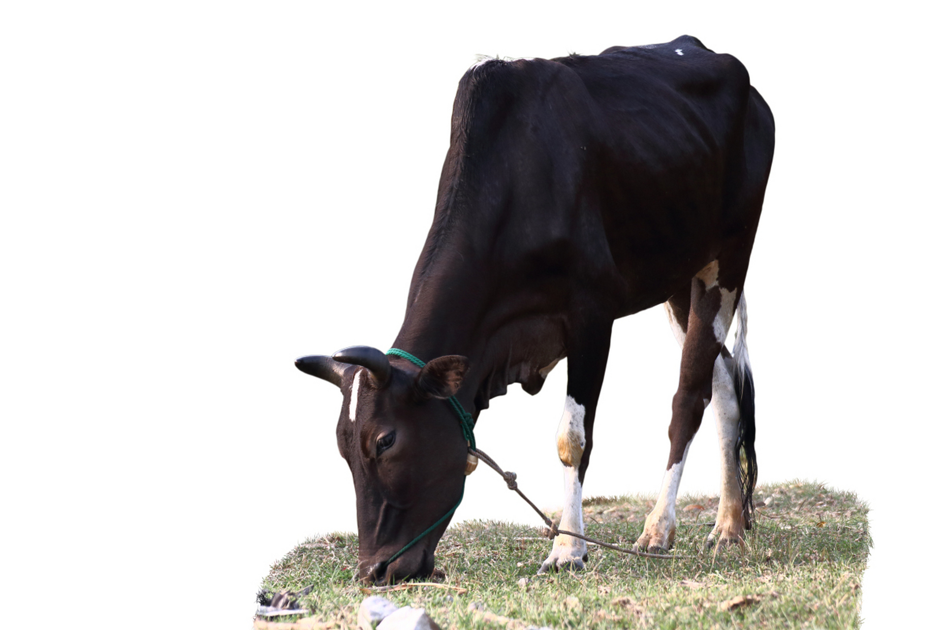 超级小牛马 #汪小菲的默认观念# #男子借火吸烟被拒大闹登机场