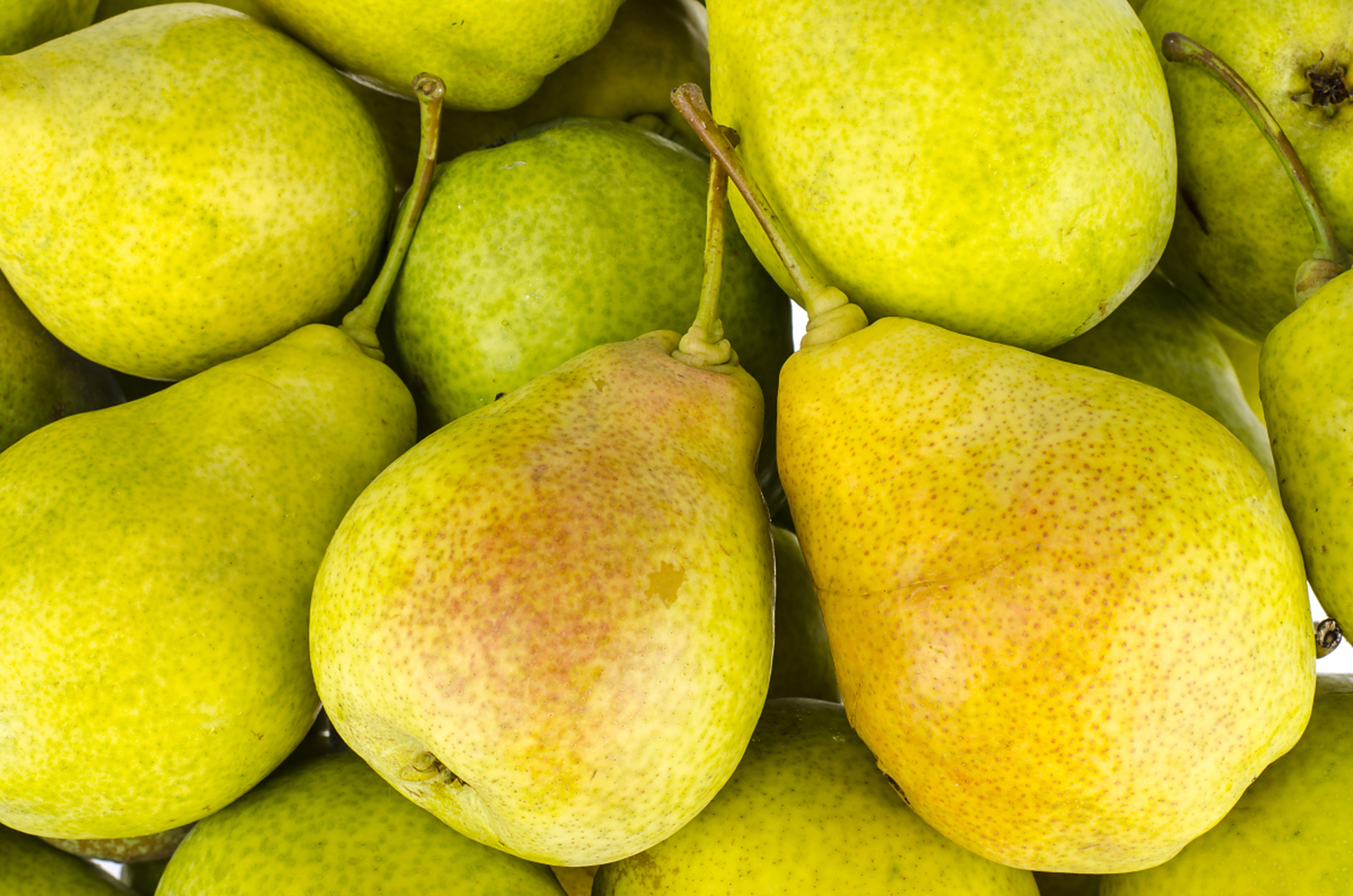 吃香梨对人体有什么好处?