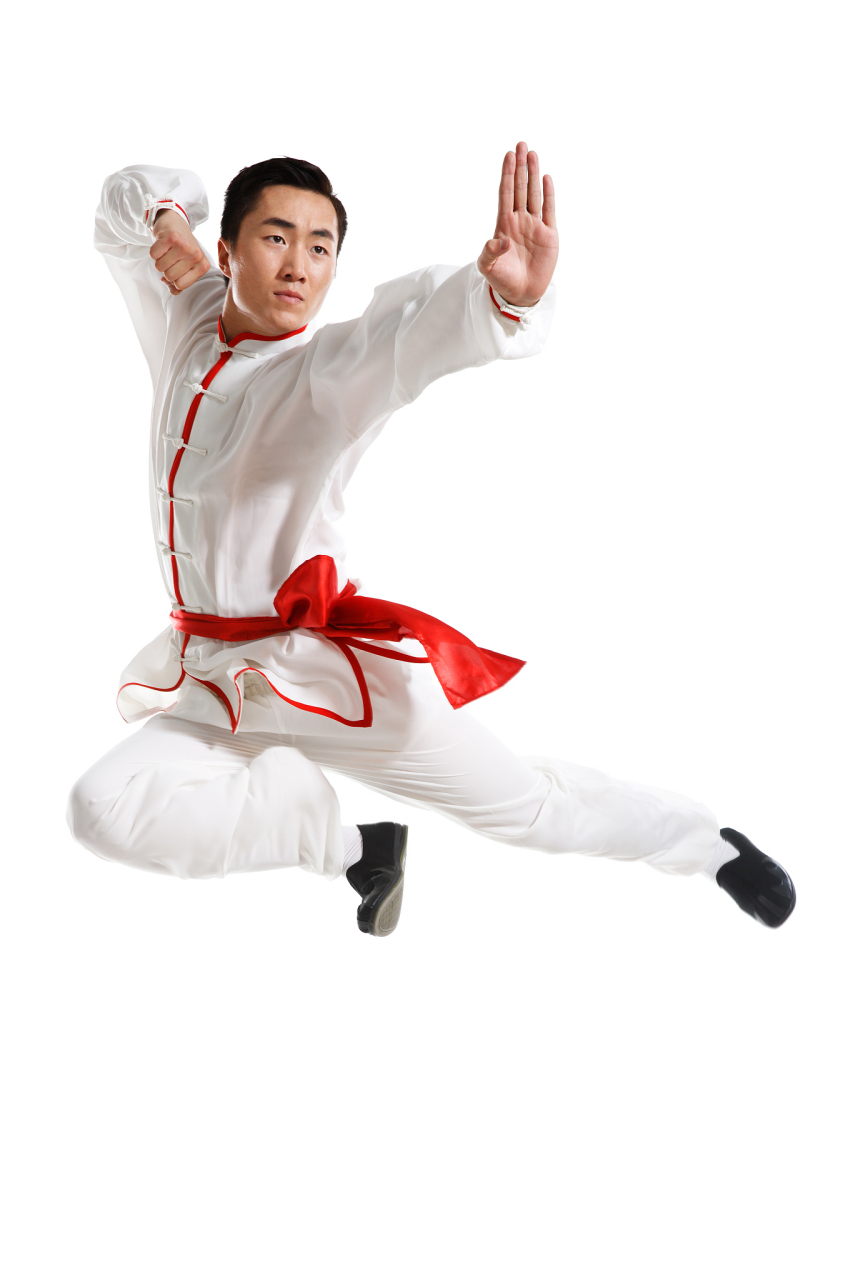 武术鸭子拳（psv鸭子拳击） 武术鸭子拳（psv鸭子拳击）《psv鸭子拳击视频》 武术资讯