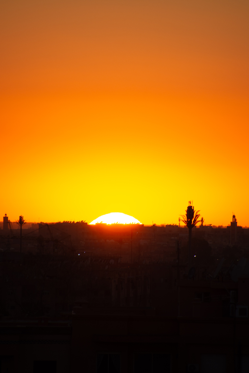 在曙光初现的黎明,世界被一层柔和的金辉轻抚