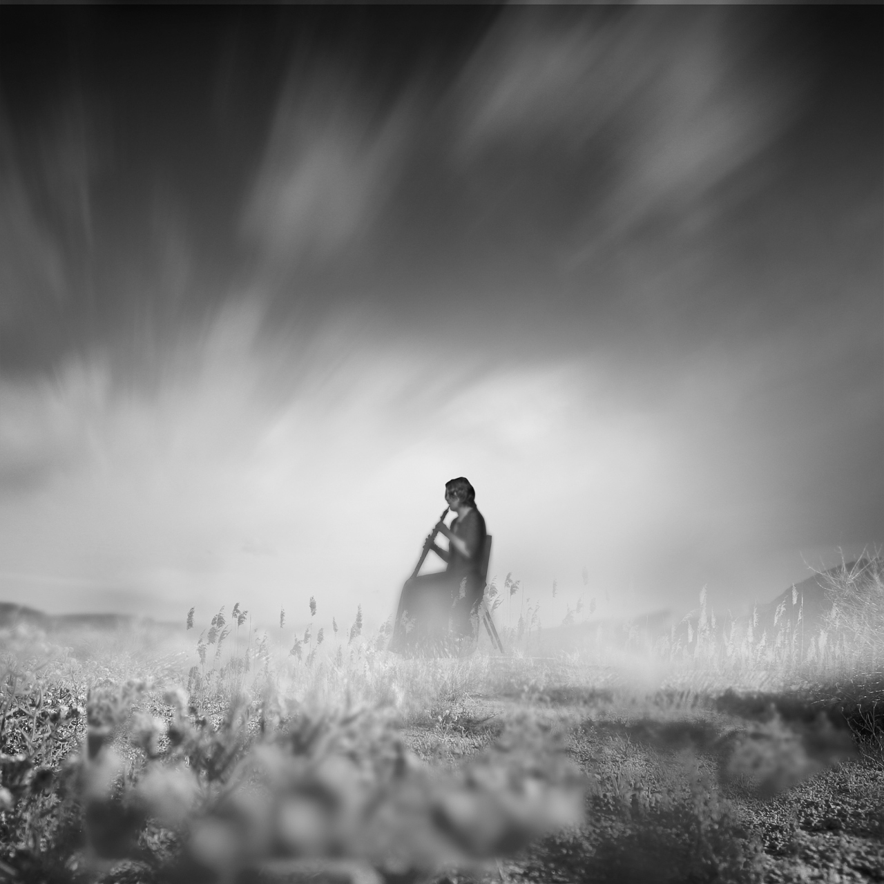 最绝情最狠心的四大属相!