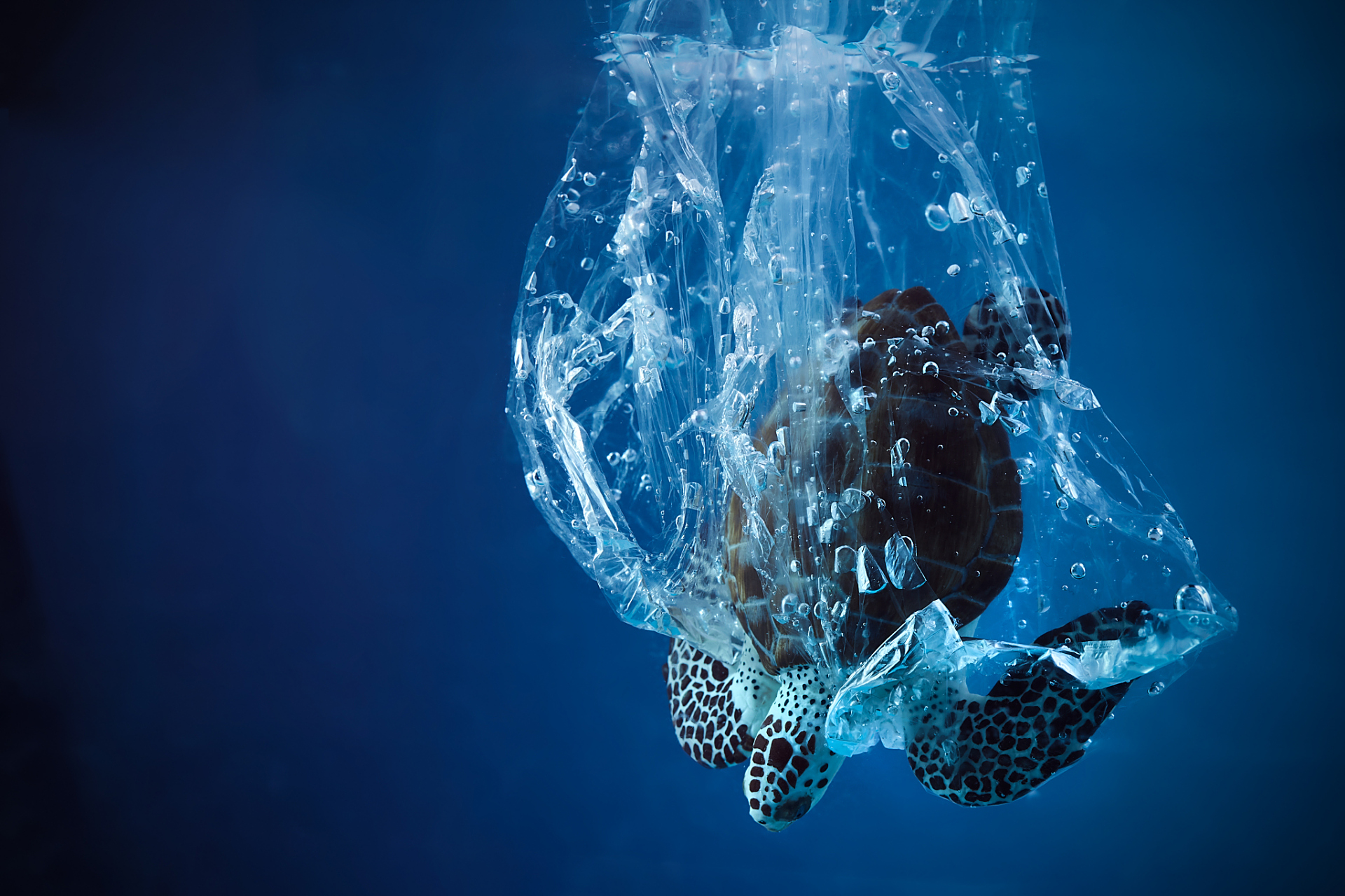 而地球上所有的水都来源于海洋.