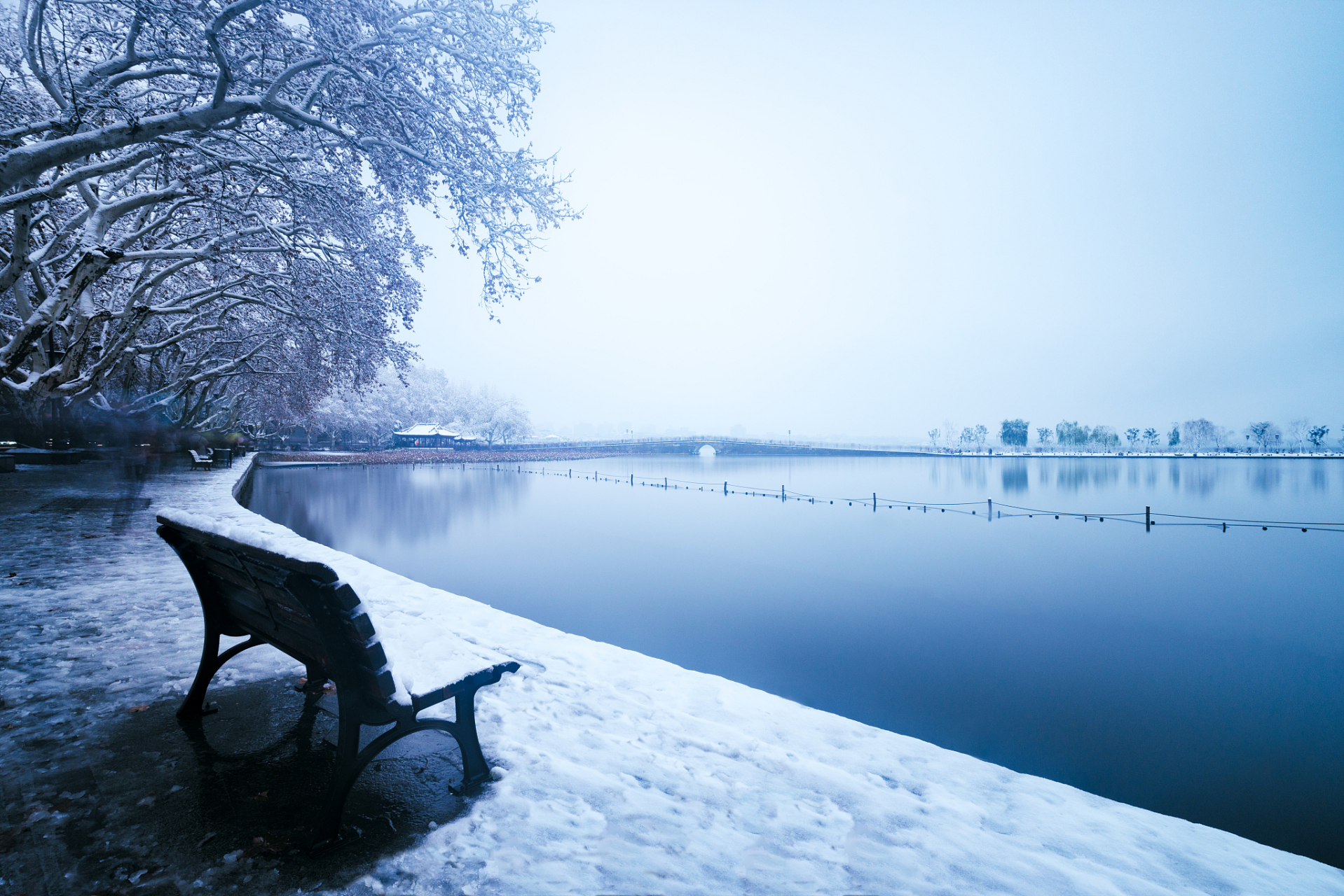 此时,断桥成了一幅绝美的画卷.