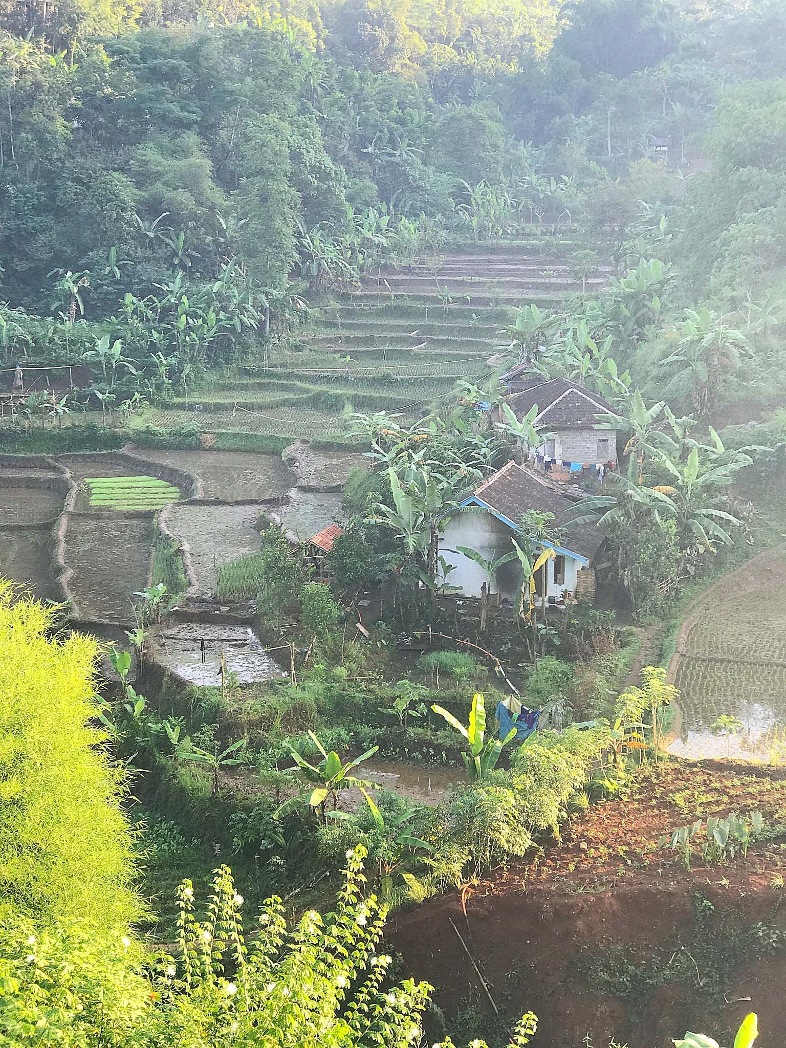 在重庆市开州区岳溪插腊村松林坡这片看似普通的山区农村土地,却