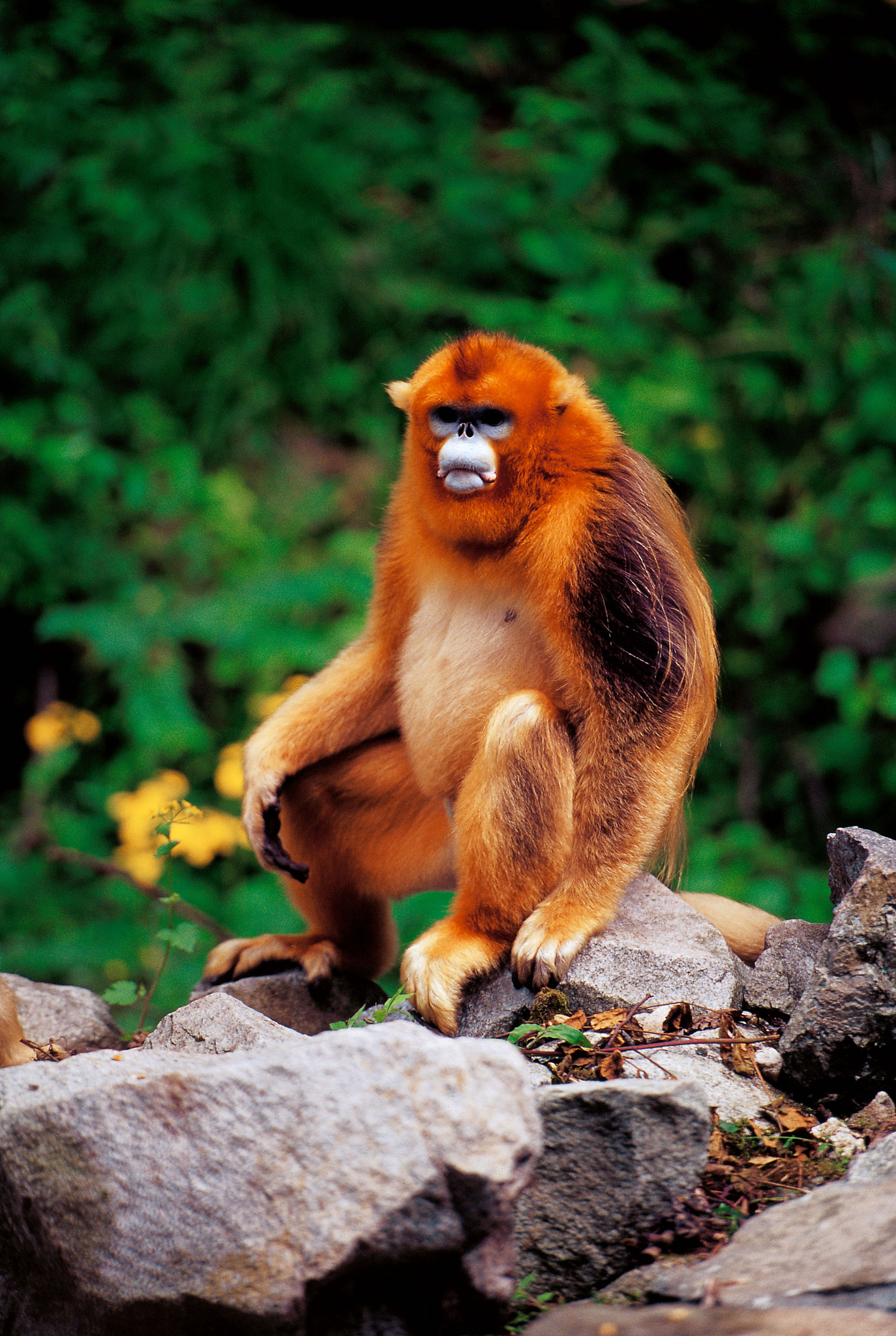 今年暑假带娃去揭秘,比故事还精彩!