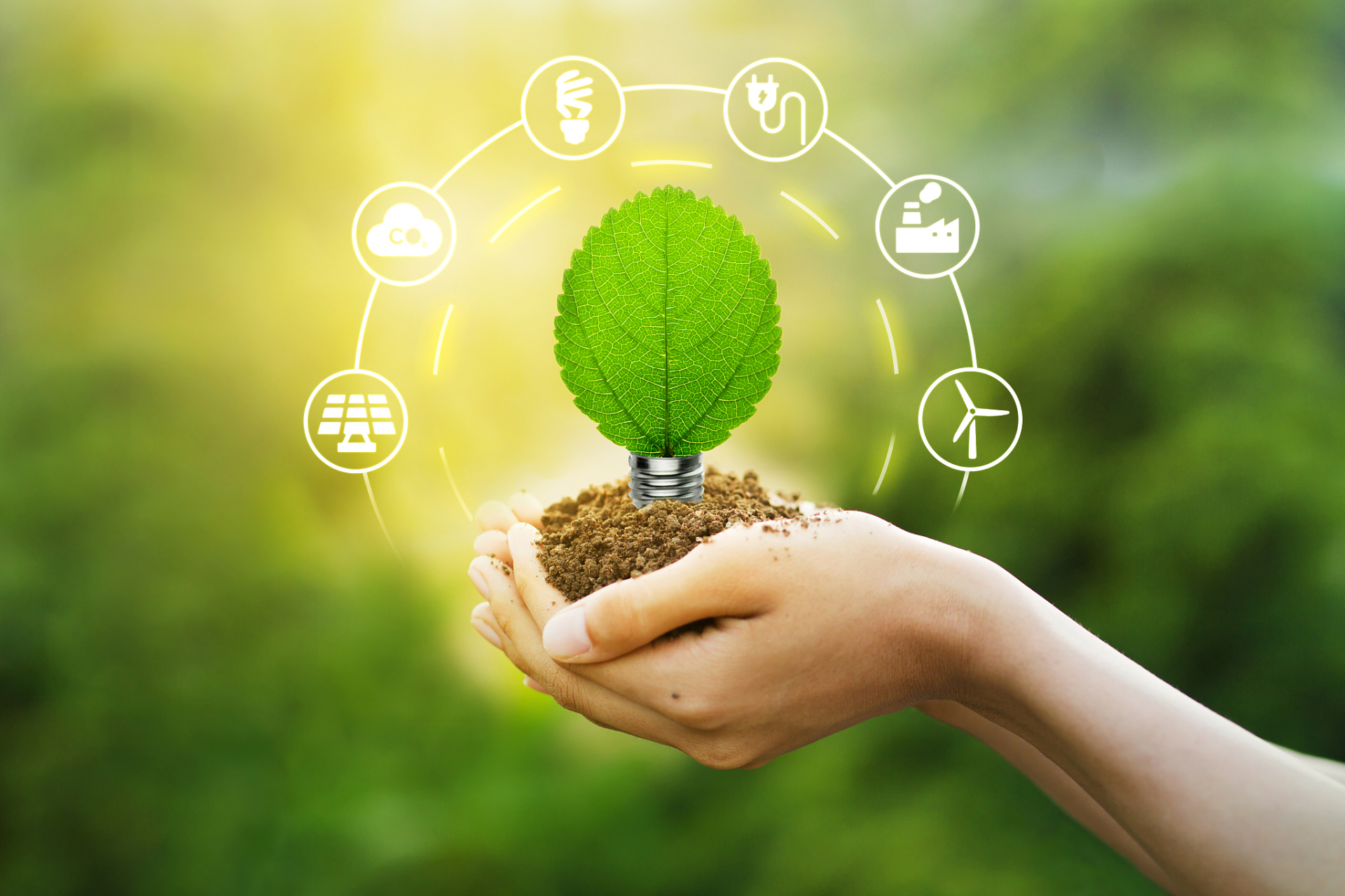 绿色金融对环境保护和可持续发展的作用是什么?