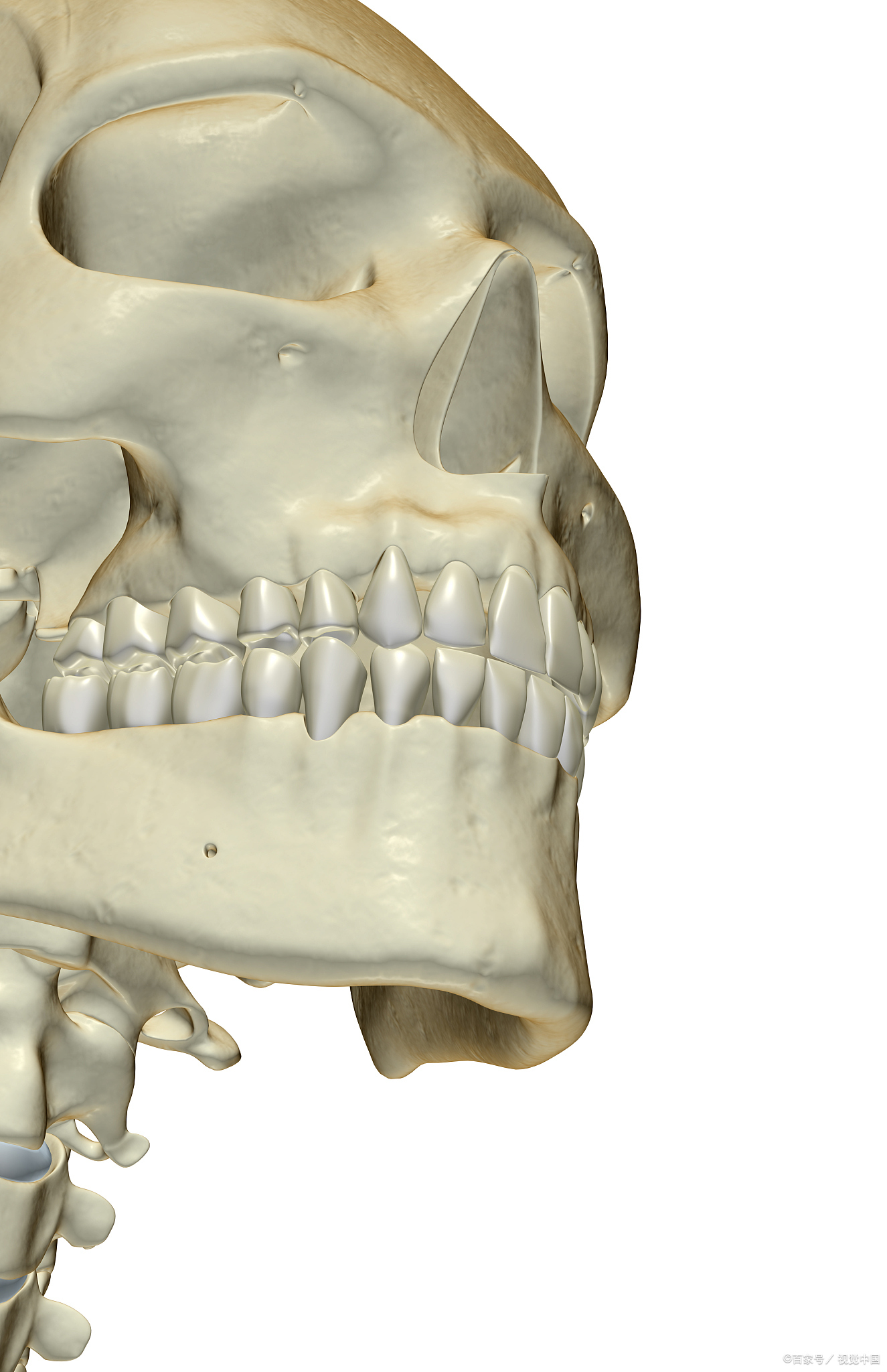 儿童地包天有哪些原因引起的?