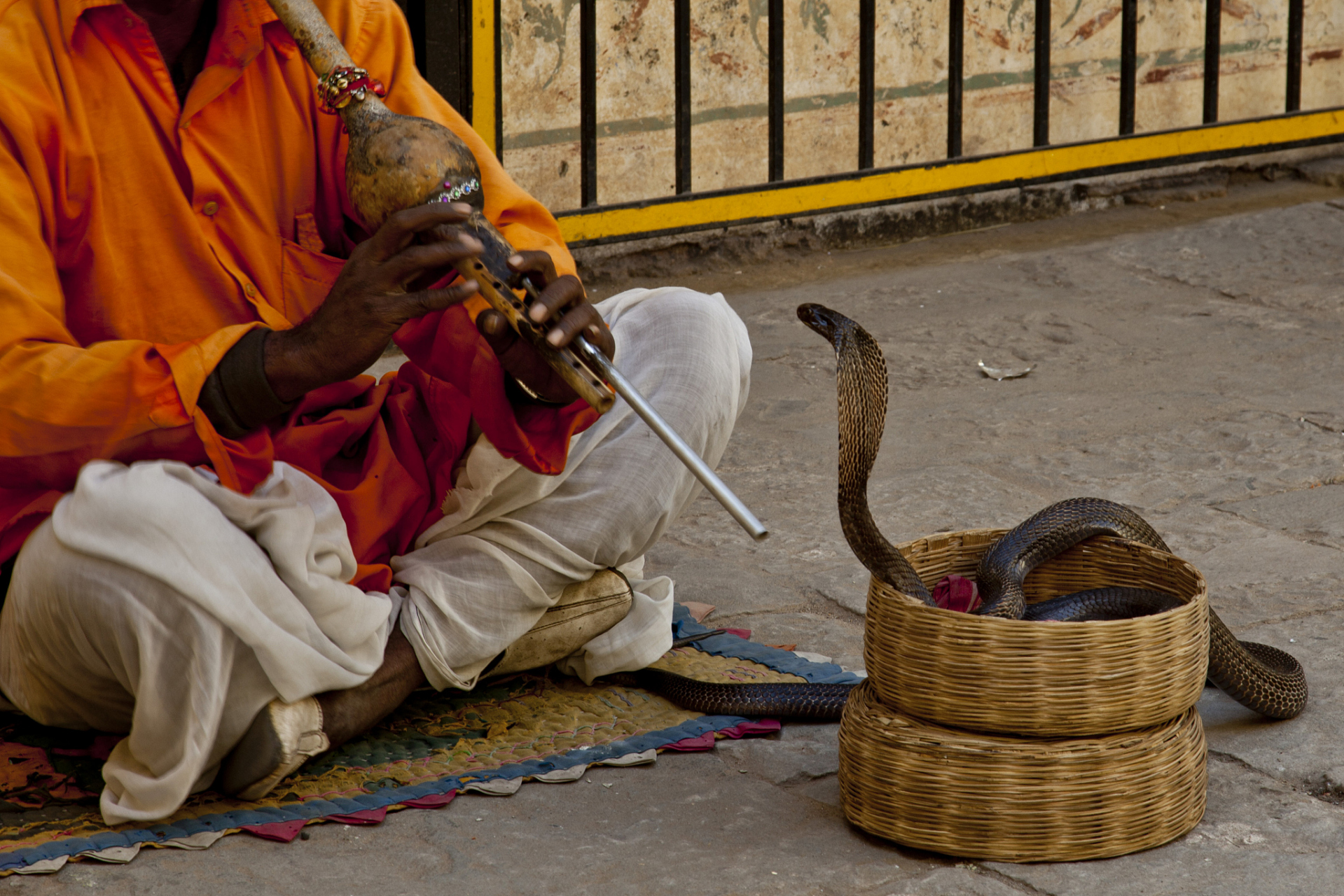 【印尼耍蛇人表演时试图亲吻蛇被咬死00】据《每日邮报》,tsb news