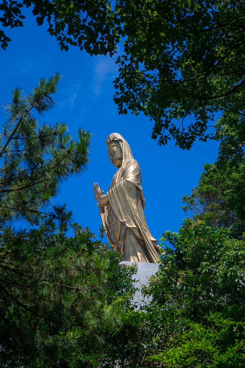 普陀山位于浙江舟山,是中国佛教四大名山之一,其中最著名的景点是观音