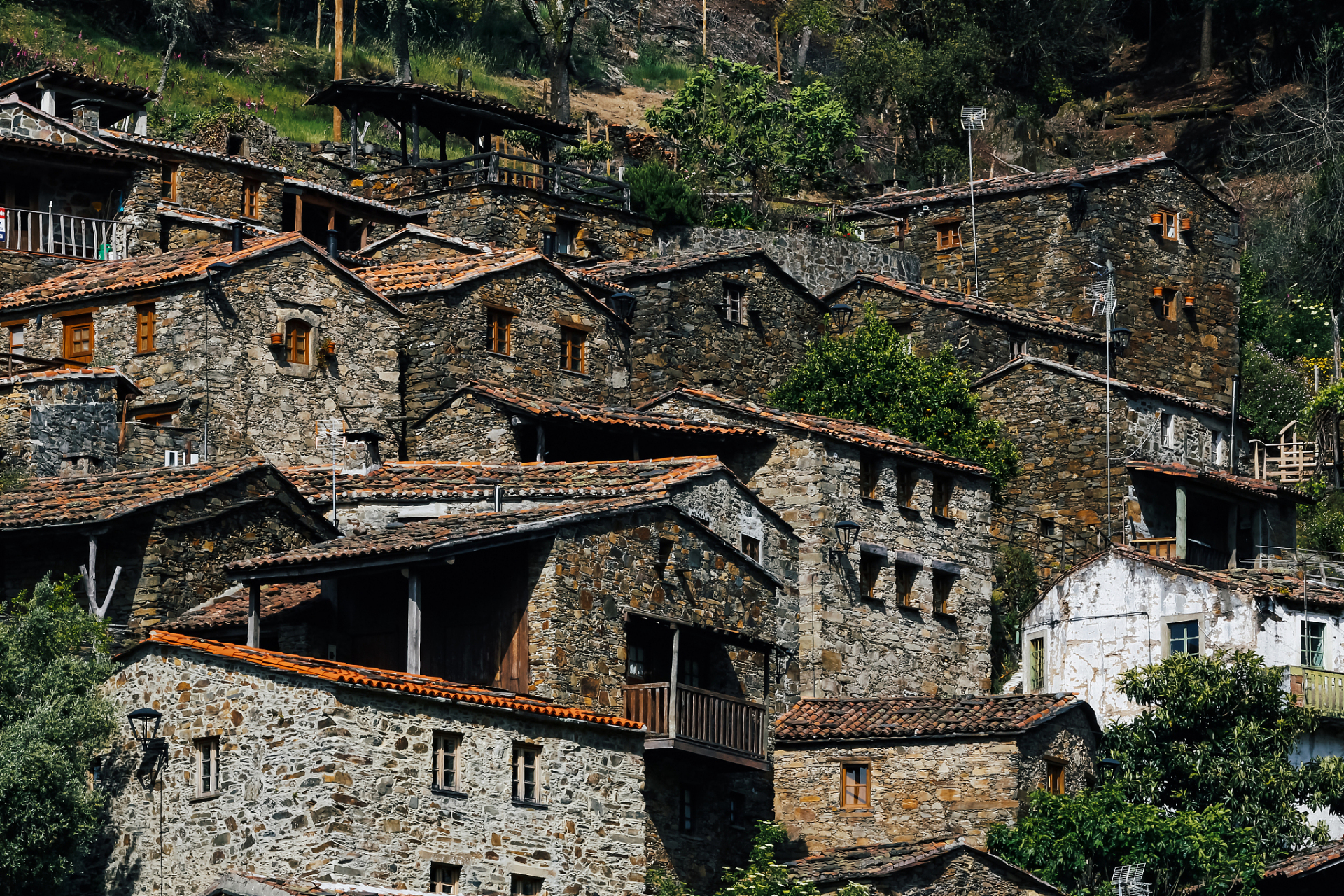 安顺石头寨景区是一个充满历史和文化底蕴的旅游胜地,以石头为主题的
