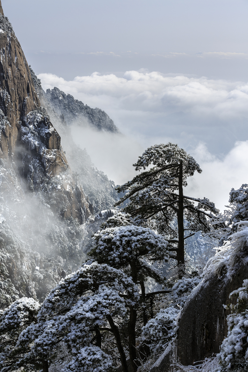 游黄山雪景美篇图片