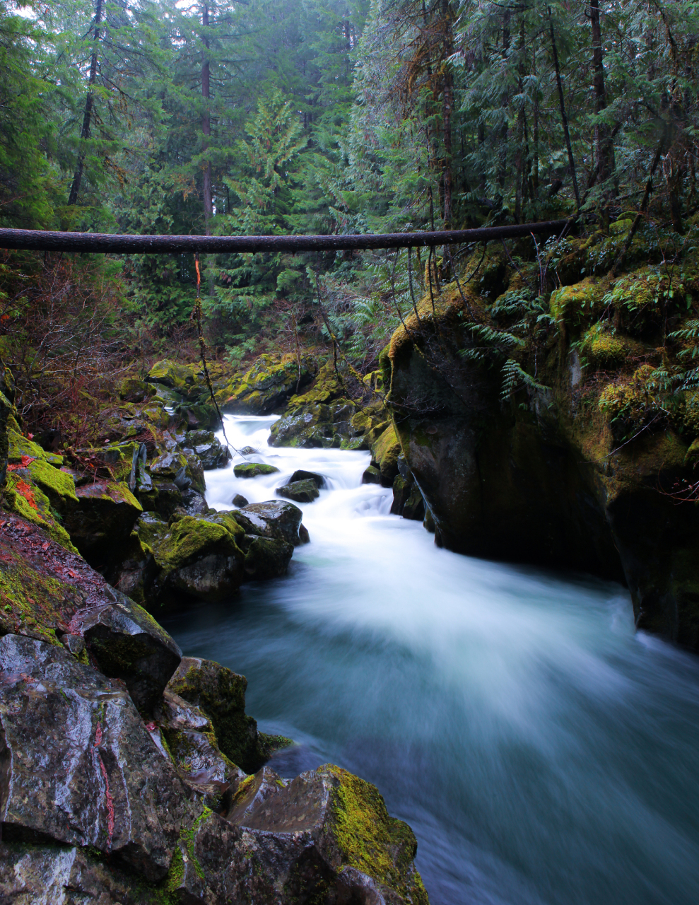 米仓山大峡谷风景名胜区,位于四川广元市,总面积达265平方公里,引人入