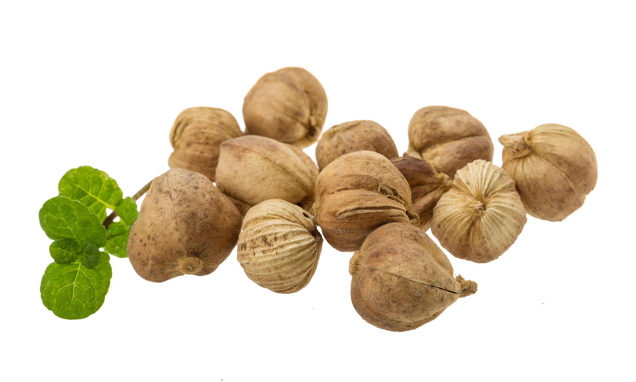 肉蔻在卤水中的核心作用是增香去异效果比较明显,有增加食欲的功 