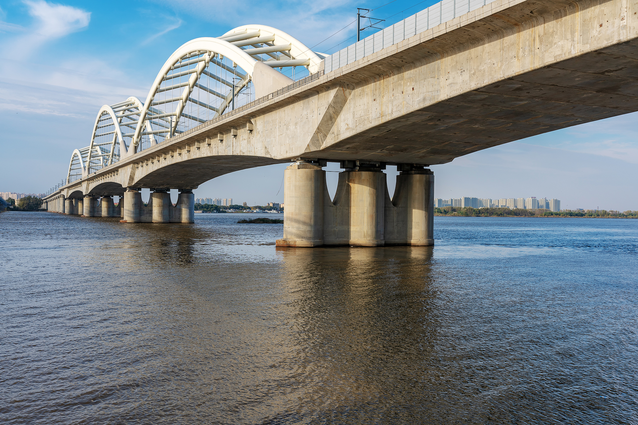 秋天的营口辽河大桥是否展现了别样的风采?