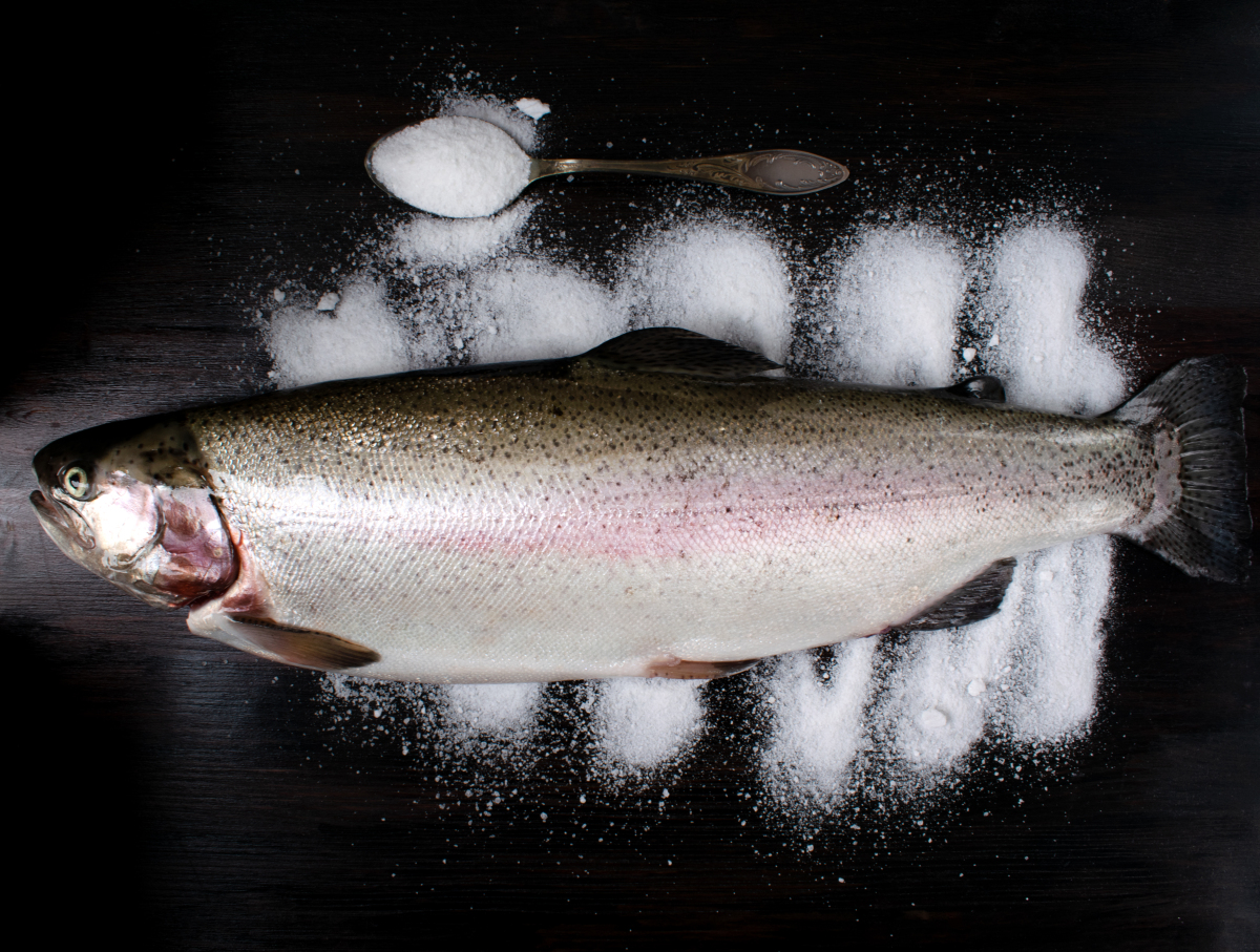 虹鳟鱼,生吃的风险与美味诱惑