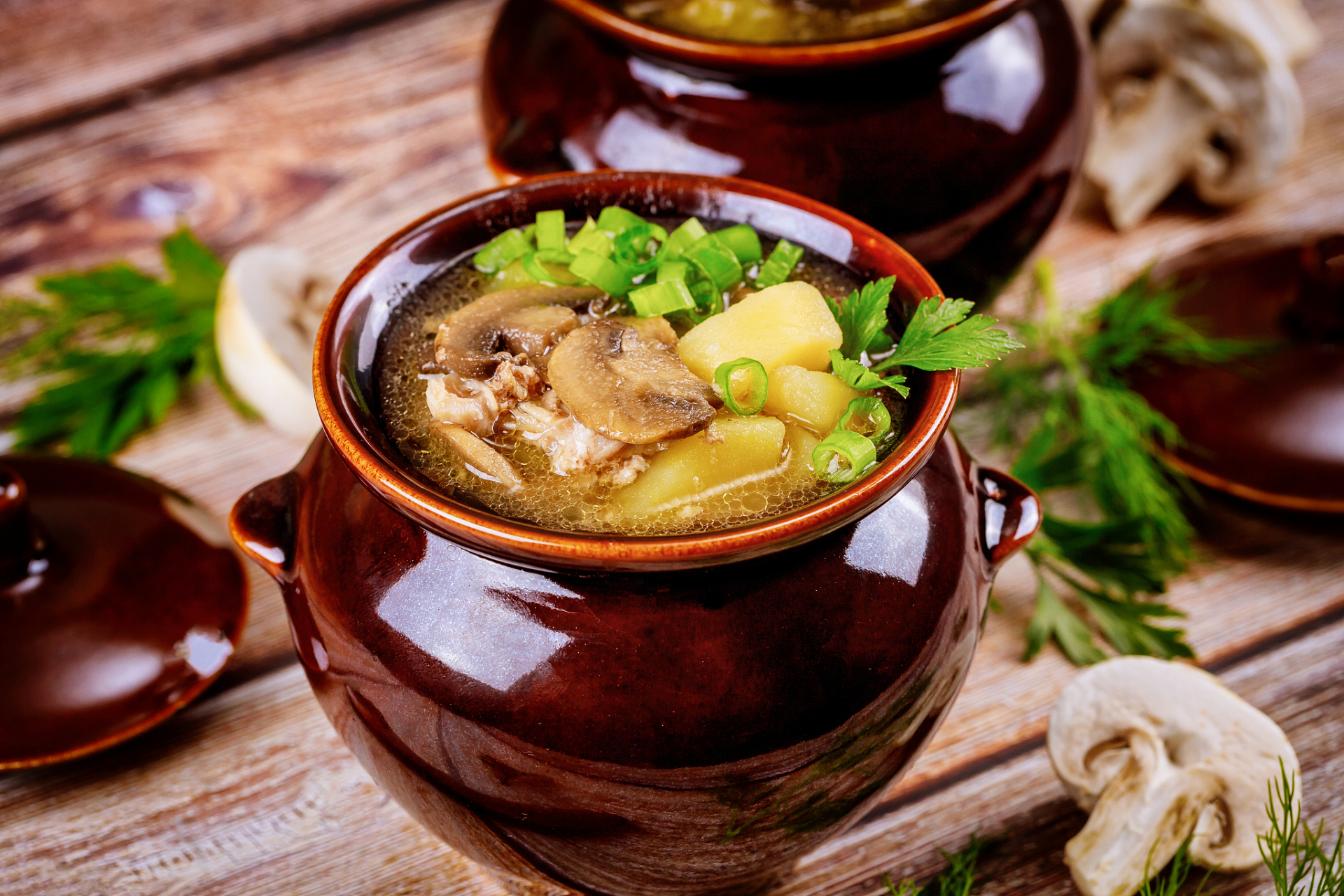 关于南昌冬日的那些事# 南昌冬日美食,首选瓦罐汤.