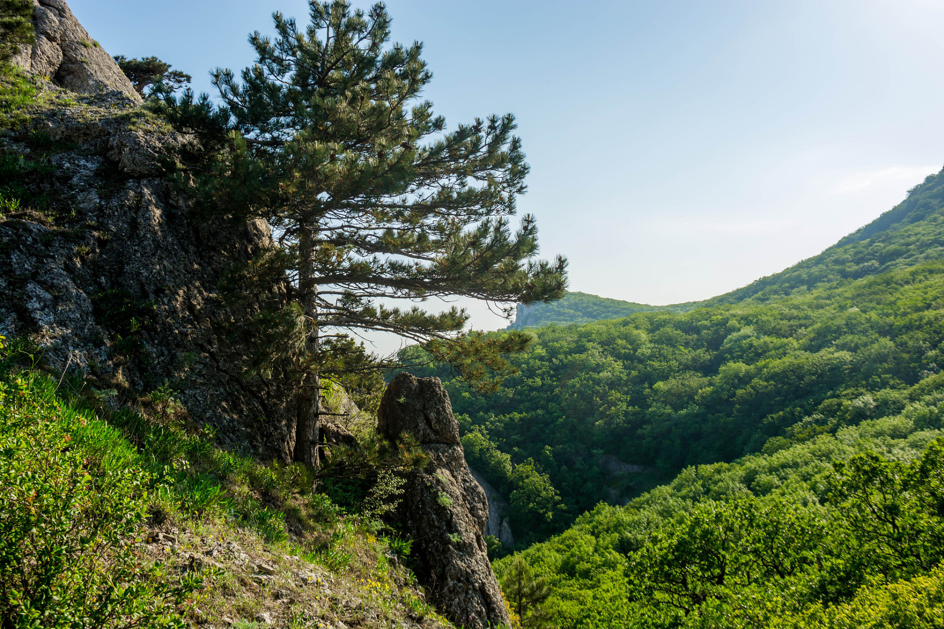 鸡冠山国家森林公园,隐藏在吉林省通化市梅河口市吉乐乡的群山之中,因