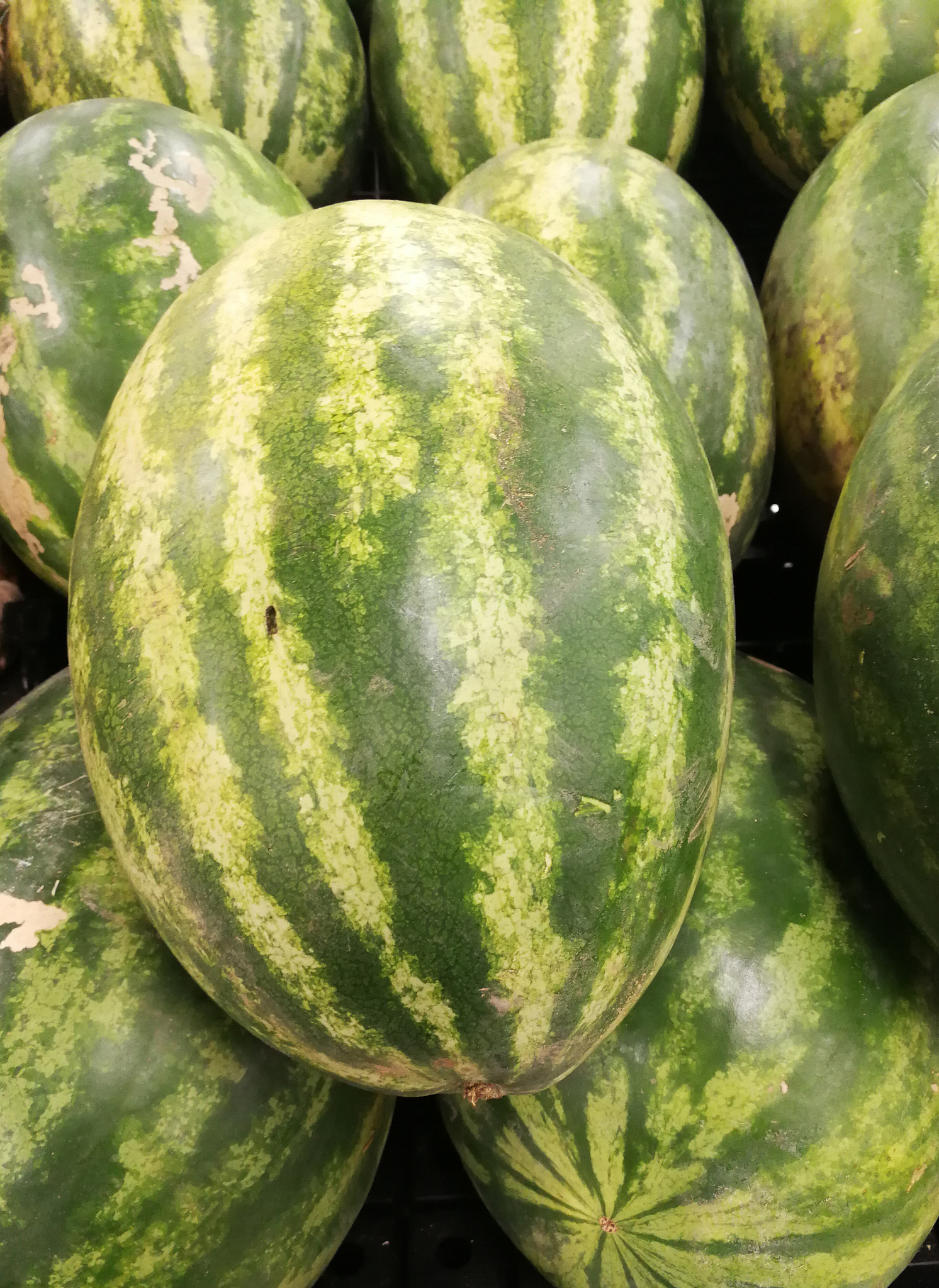 来银川,尝尝中卫硒砂瓜,探访本地美食  在银川,中卫硒砂瓜那可是大名