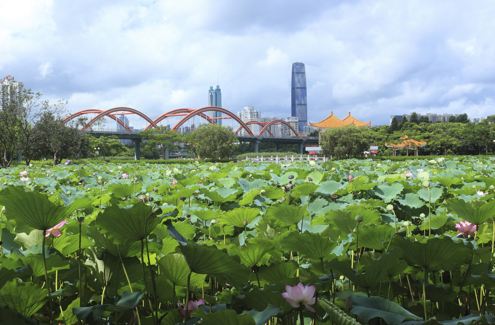 洪湖公园位于深圳市罗湖区,1984年初开始规划与筹建,1985年4月部分