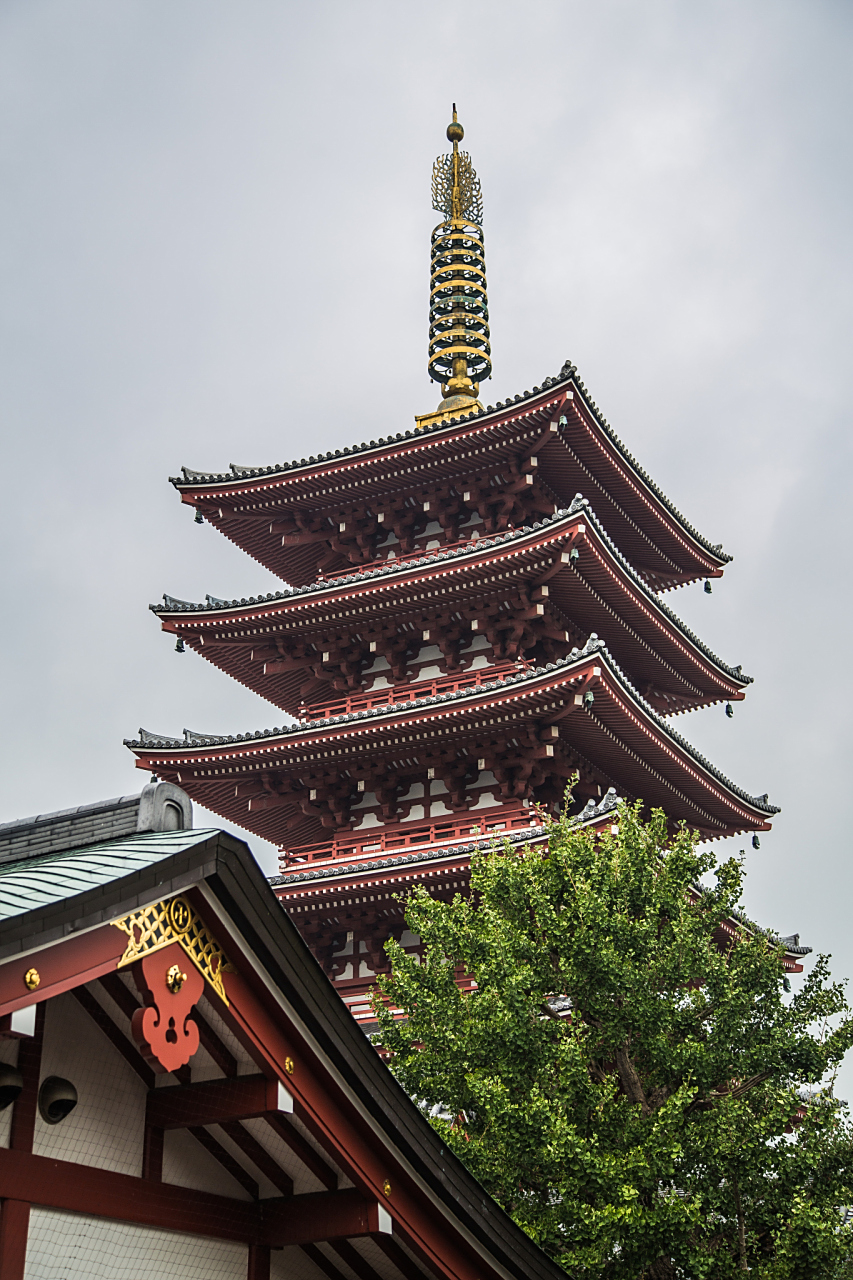 苏州双塔景区集古塔,寺庙和古典园林于一体,展现着悠久的历史文化和