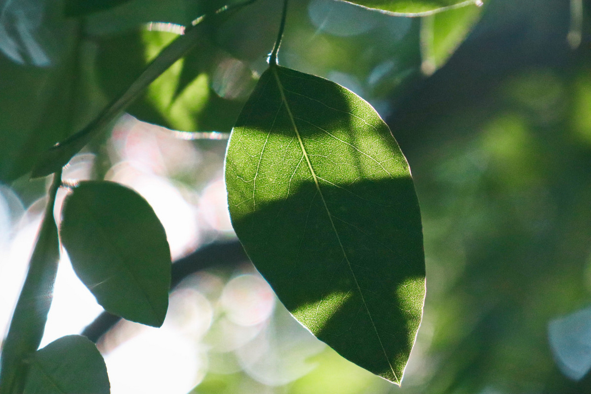 我很开心很不好,因为好不容易能买一套房子,但我