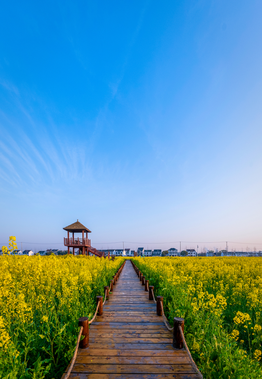 崇明冬季旅游景点图片