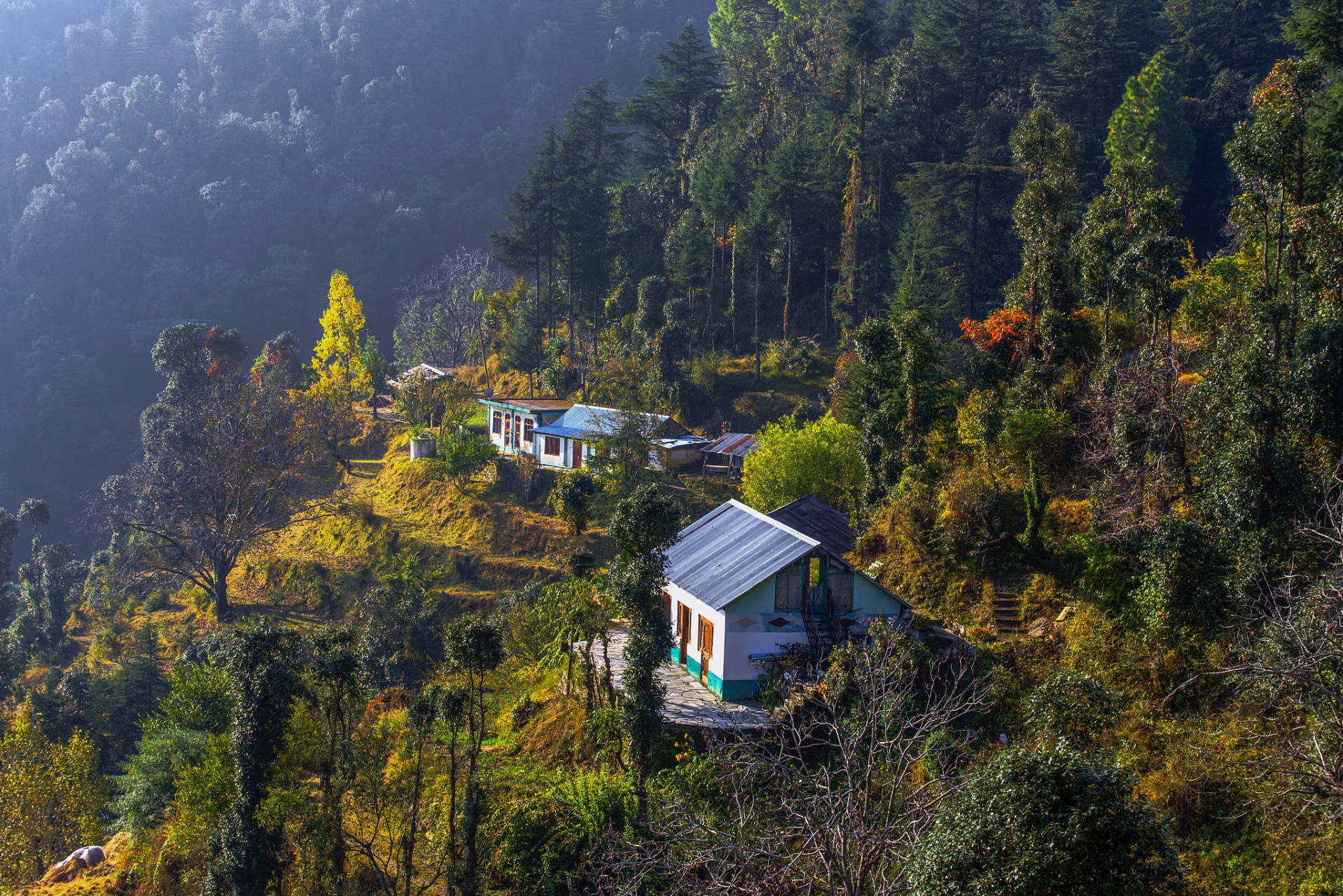 湖北坪坝营风景区图片