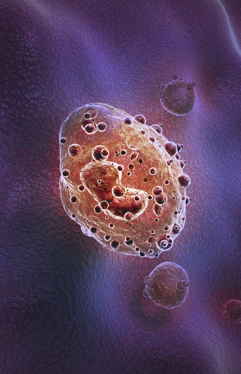 食脑变形虫# 食脑变形虫是一种令人毛骨悚然的寄生虫,它们寄生在扑