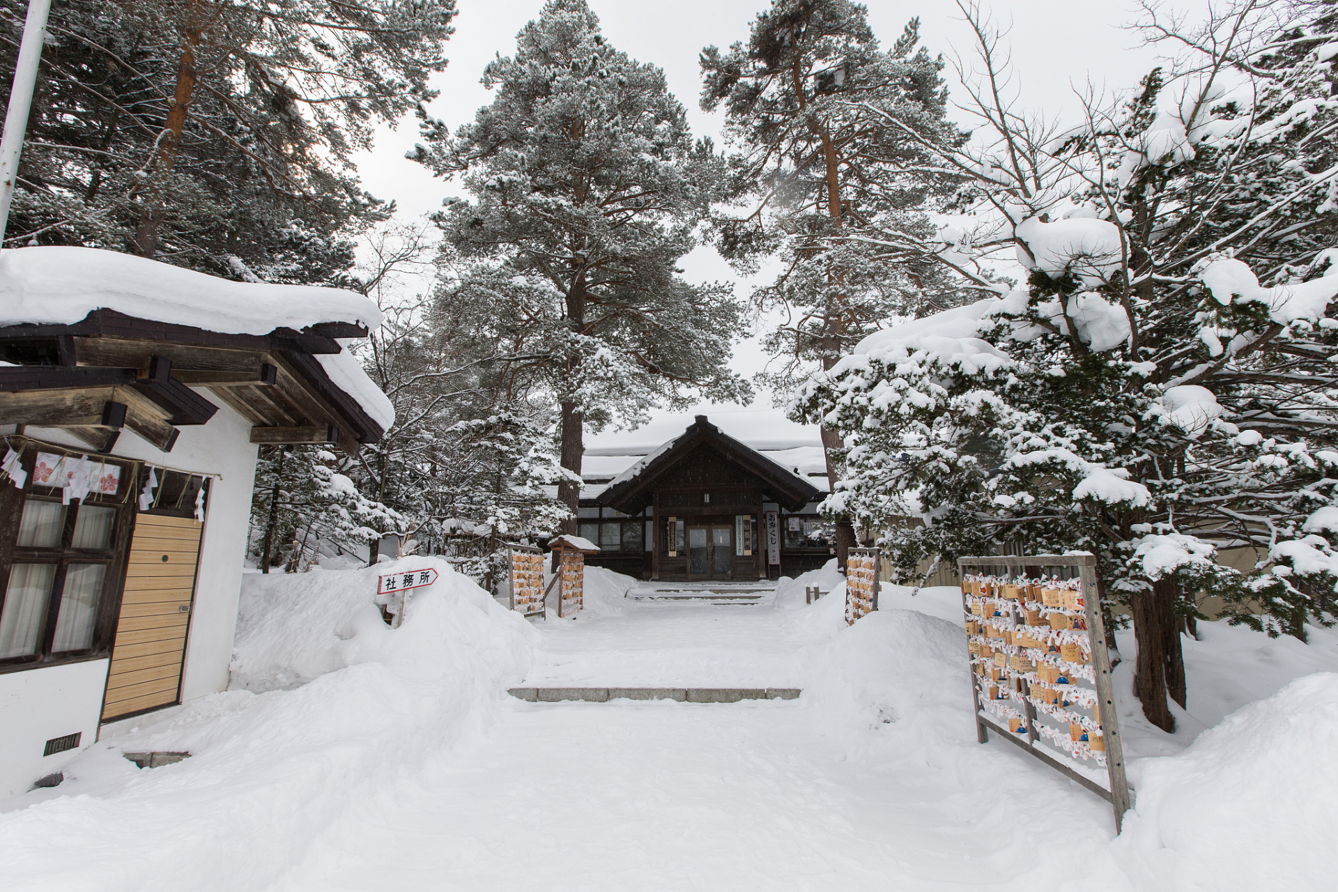 金乡羊山滑雪场图片