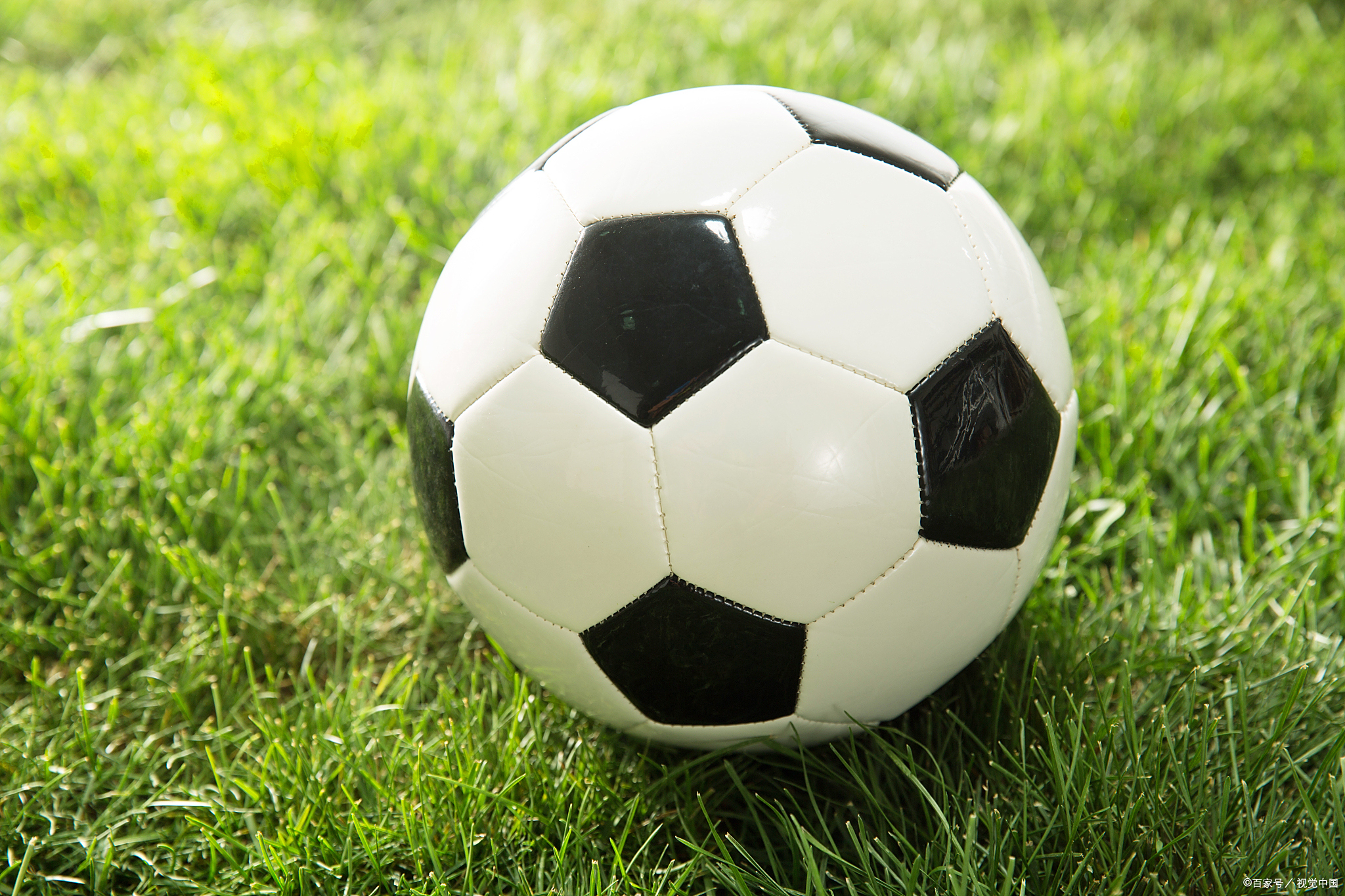 9.10两场何乙推荐赛事赛果精英3-1胜,福伦丹3-0格拉夫胜